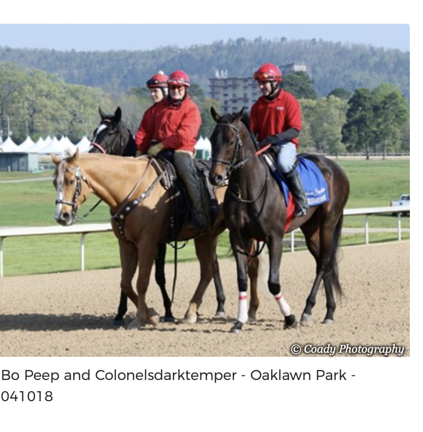 Screenshot 2025-12-15 at 11.57.15 AM.png