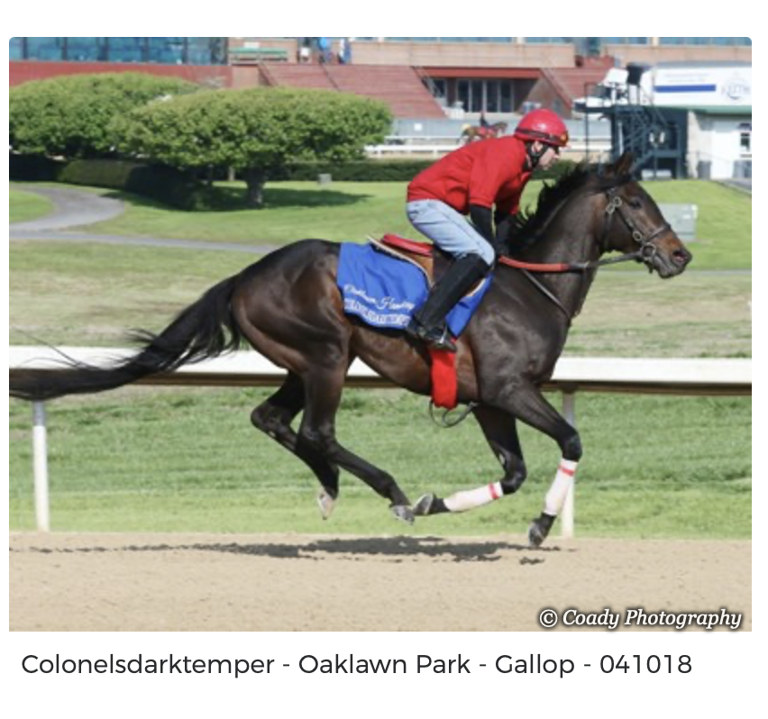 Screenshot 2025-12-15 at 11.57.29 AM.png