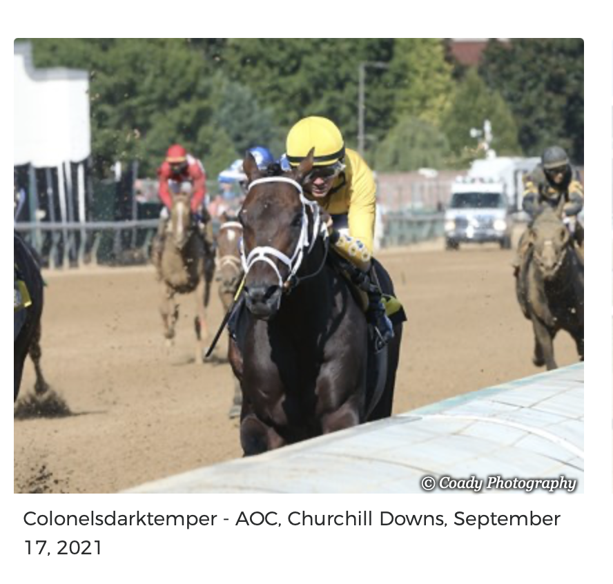 Screenshot 2025-12-15 at 11.57.44 AM.png