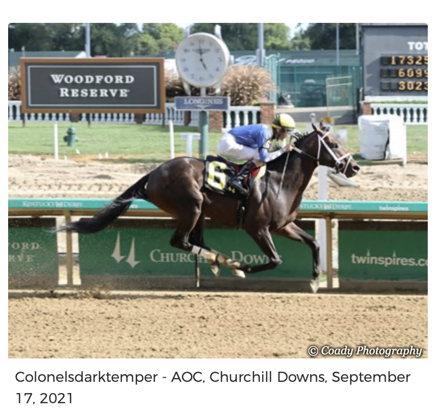 Screenshot 2025-12-15 at 11.57.52 AM.png