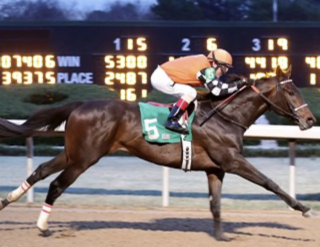 Screenshot 2025-12-15 at 11.58.05 AM.png