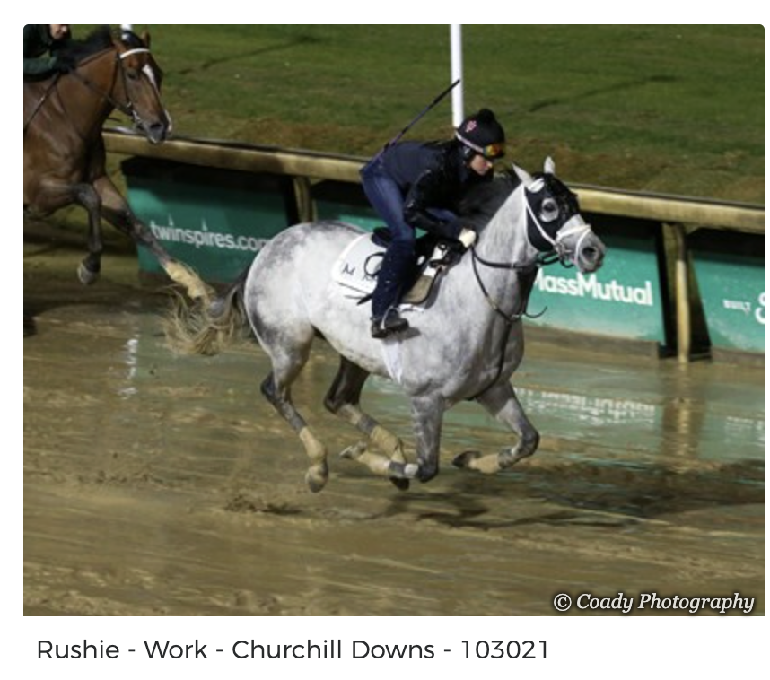 Screenshot 2025-12-16 at 8.13.03 AM.png