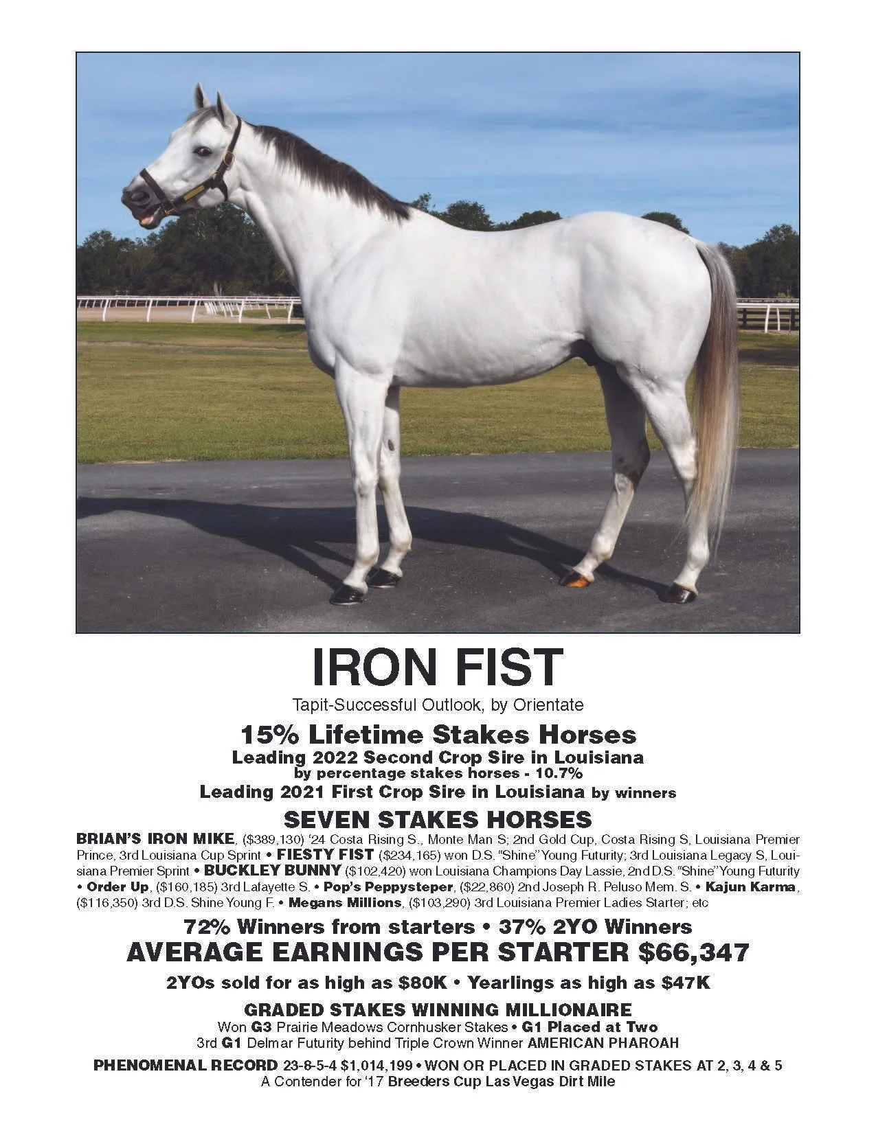 A white racehorse with a black mane standing on a racing track with grass and trees in the background.