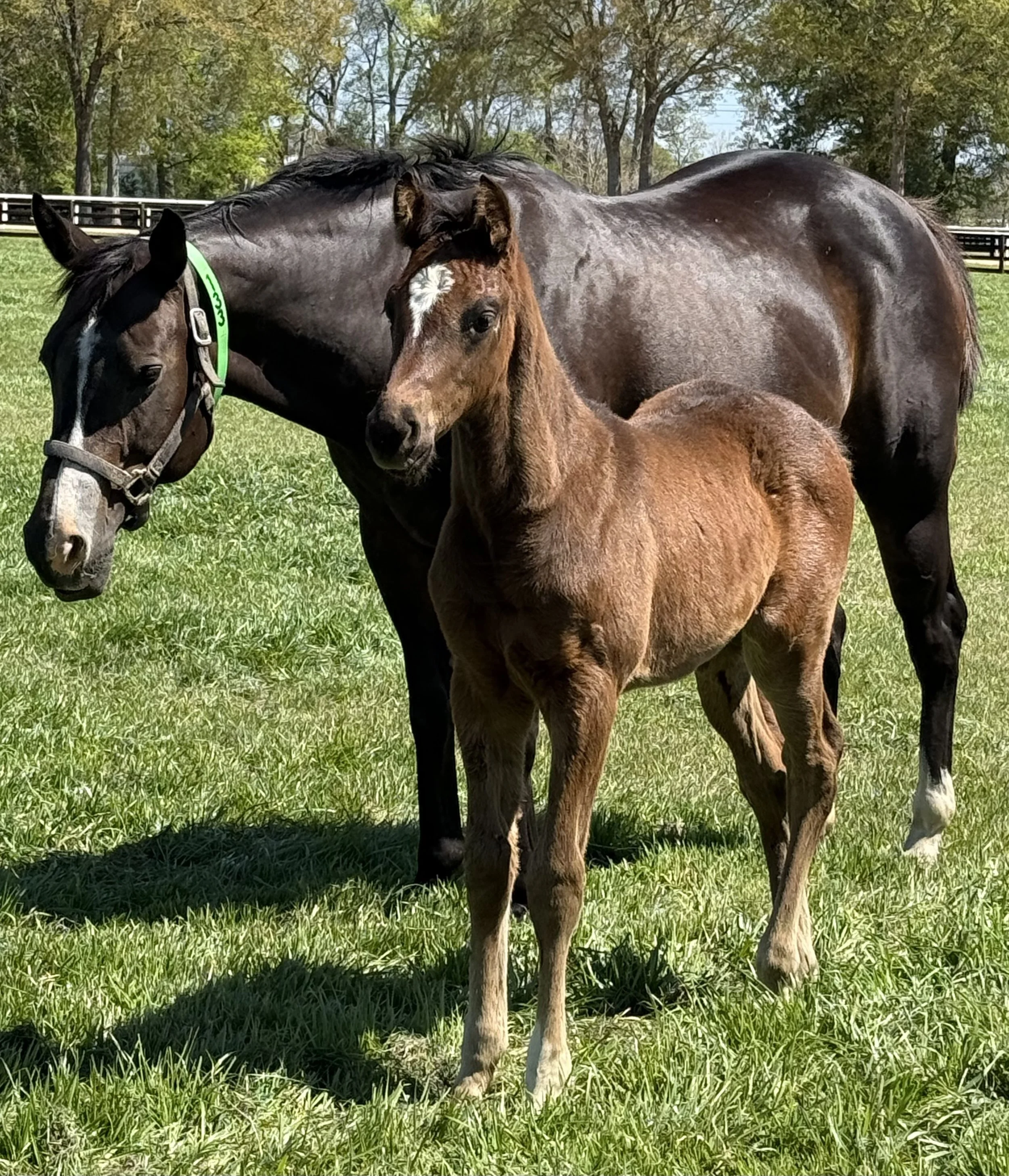 Blowing Your Mind X Colonelsdarktemper