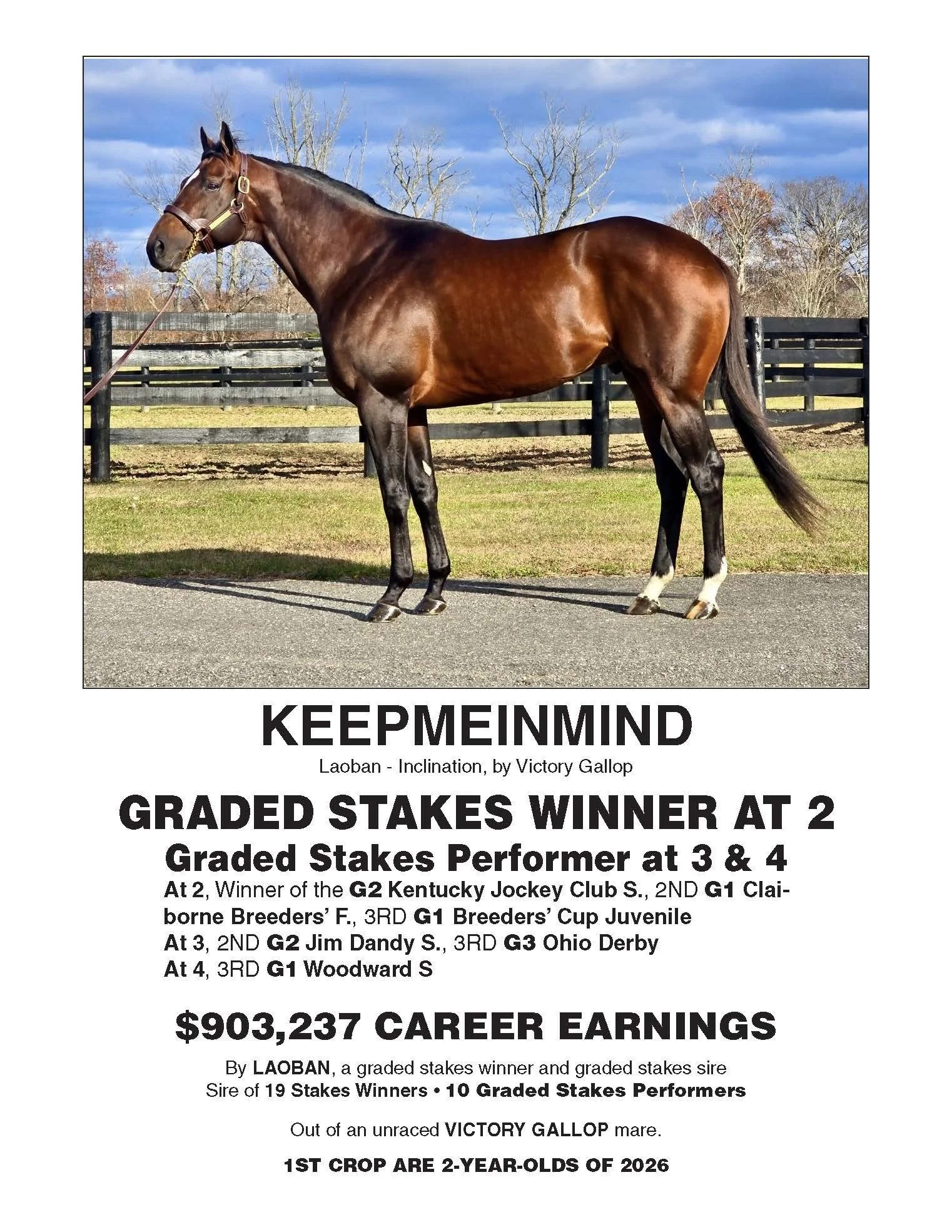 A detailed racehorse profile card featuring a chestnut horse named Keepmeinmind with black mane and tail, standing outdoors on grass with a fence and trees in the background, under a partly cloudy sky.