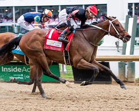 A horse race with two jockeys riding horses on a dirt track, racing near the finish line.