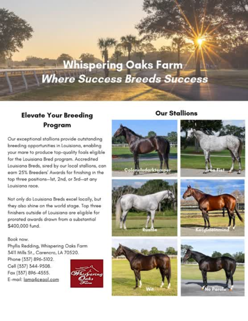 A flyer for Whispering Oaks Farm in Louisiana featuring the farm's stallions and breeding program. The flyer includes pictures of six horses and information encouraging breeding and showing off the farm's accomplishments.