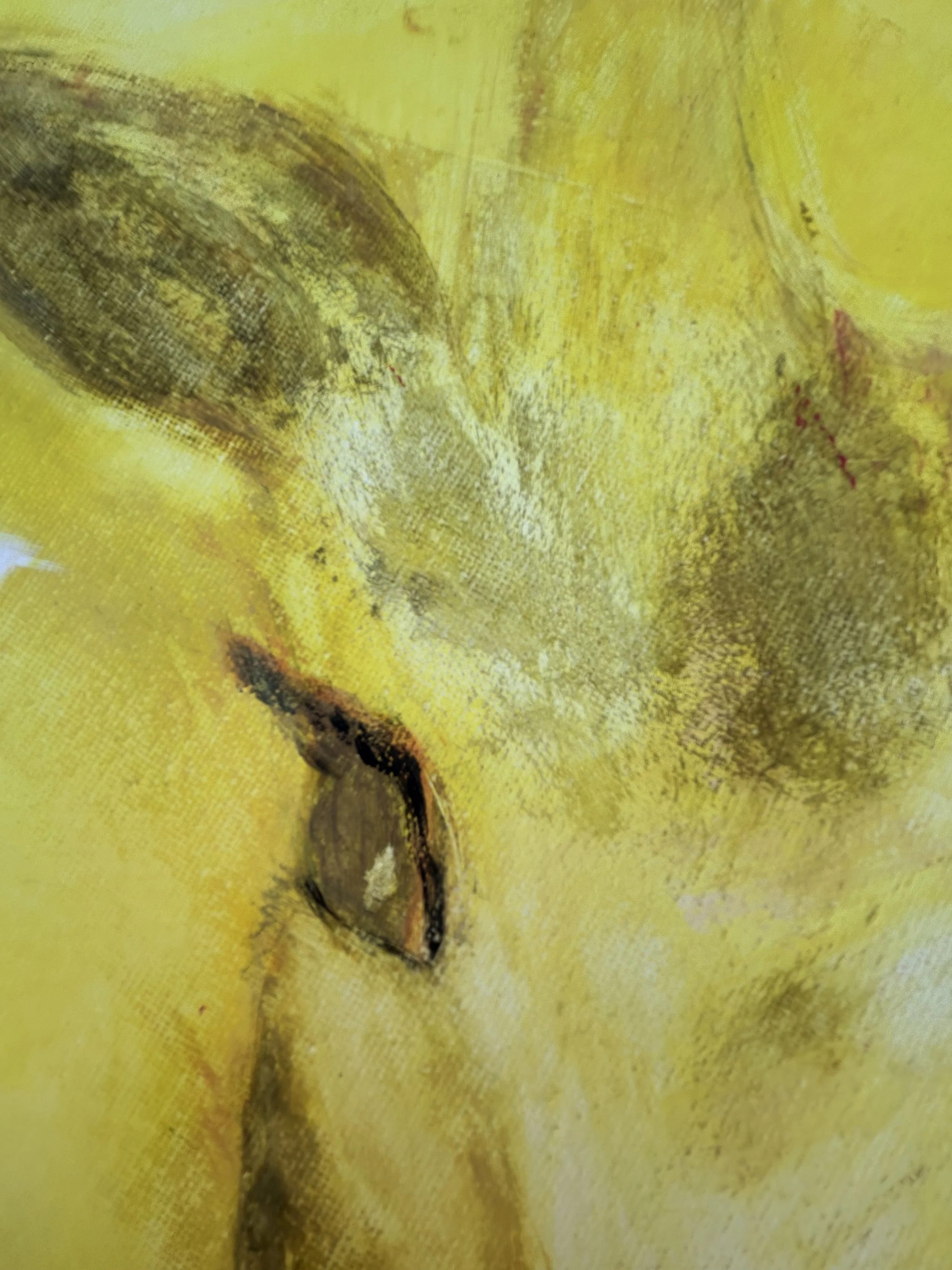 Z yellow amarillo  IMG_0575.jpeg