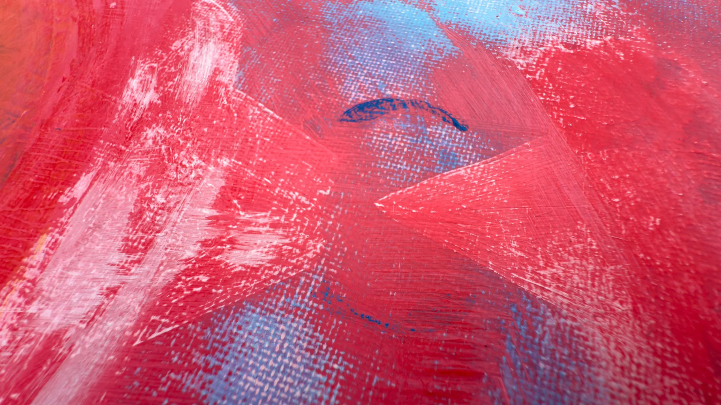 Z red rot IMG_3405.jpeg