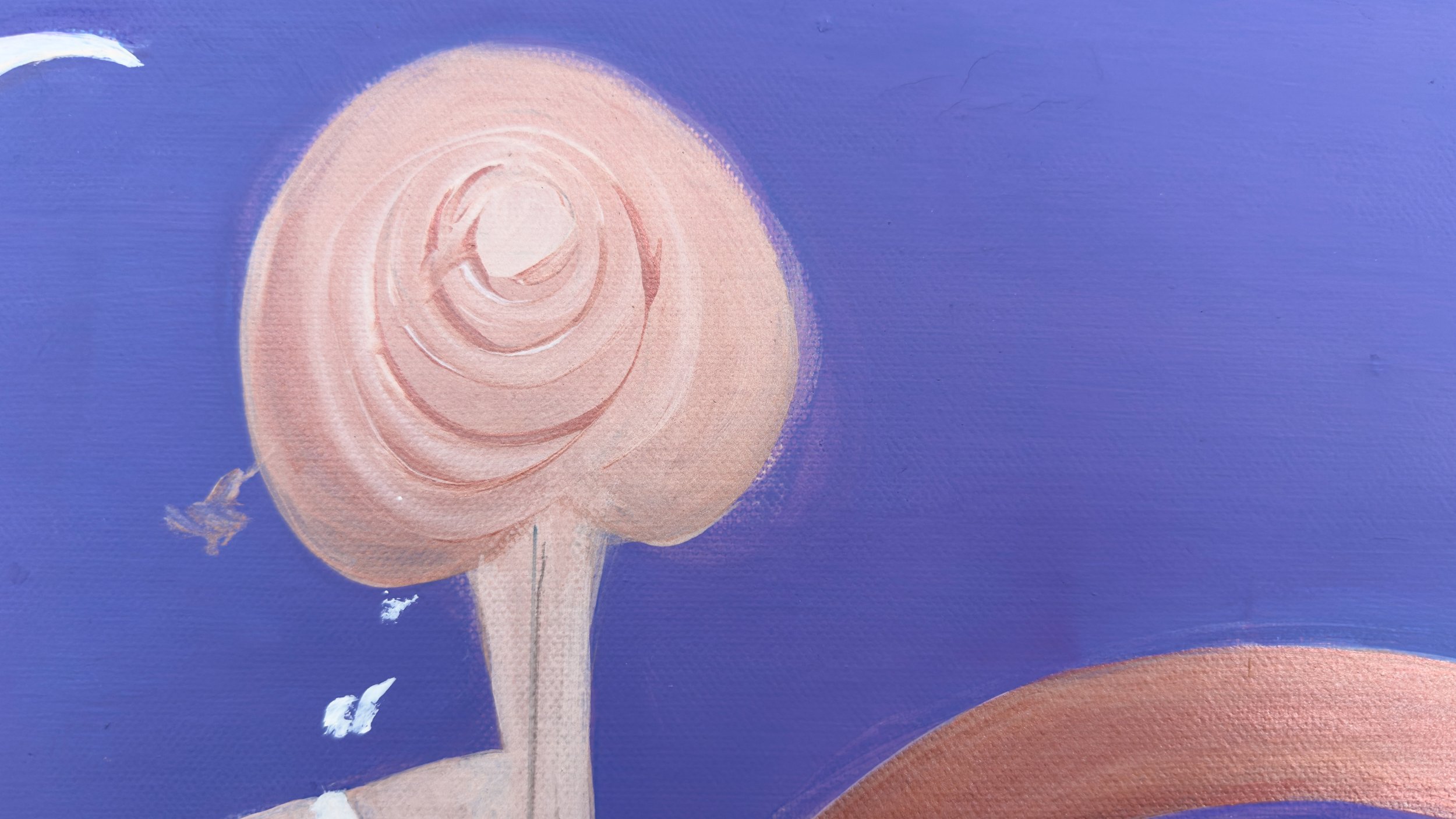 Z purple purple IMG_3393.jpeg