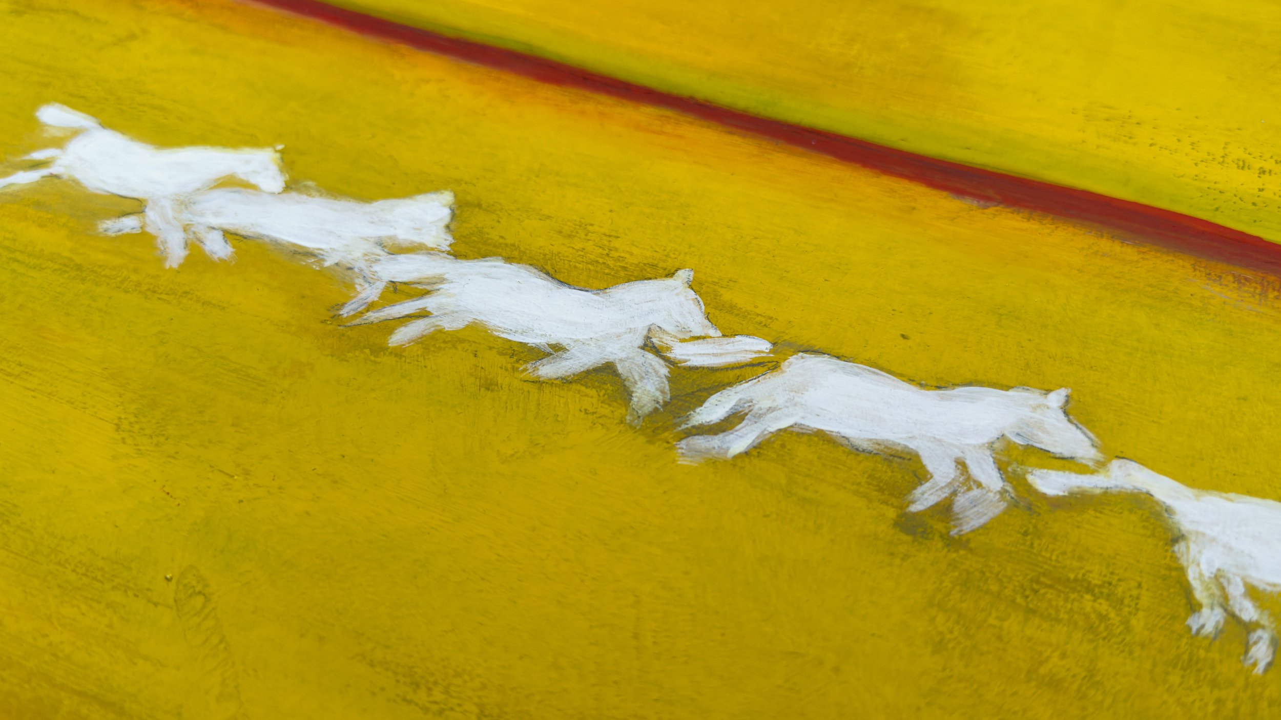 Z yellow yellow IMG_3349.jpeg