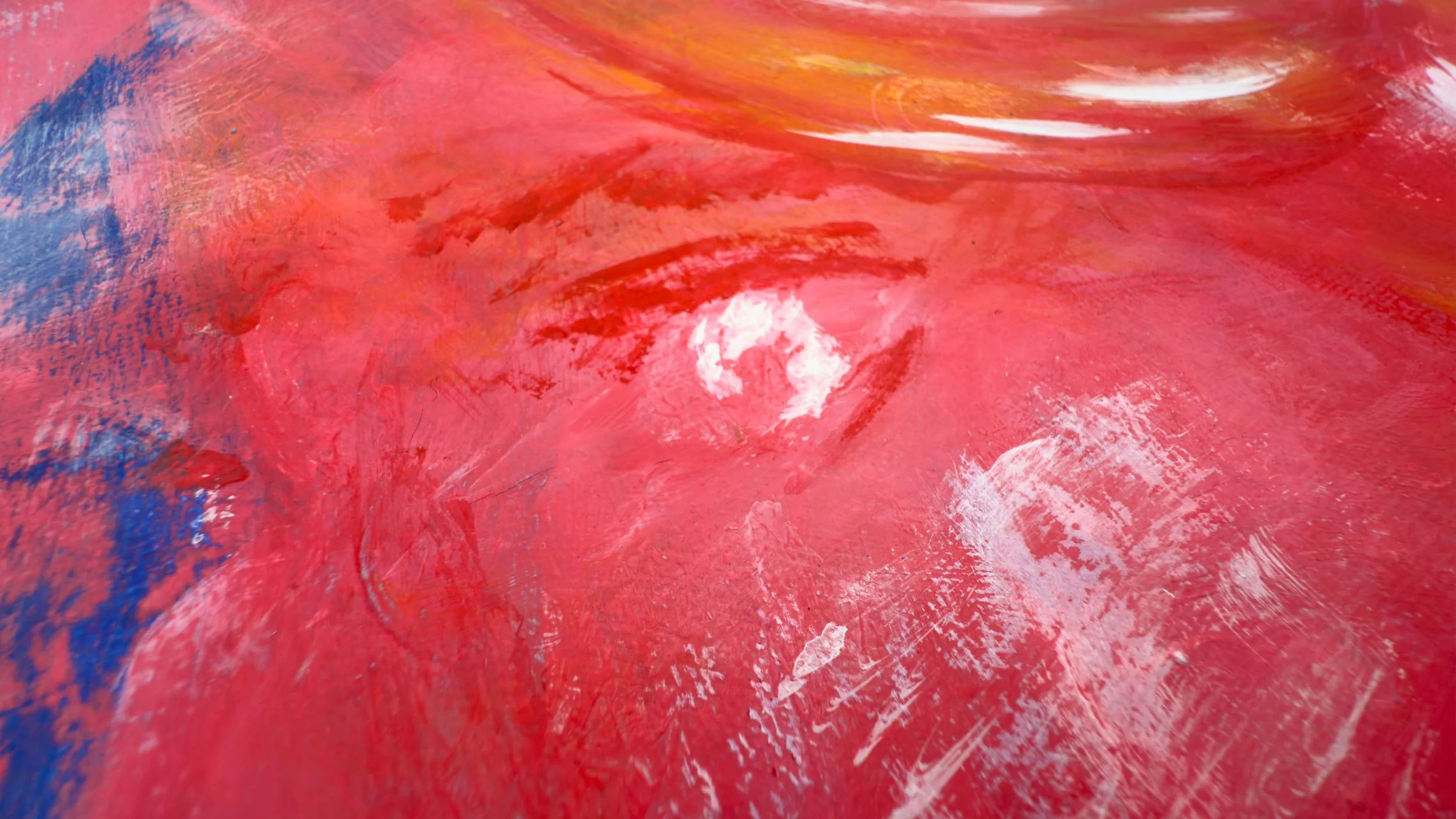 Z red rot IMG_3404.jpeg