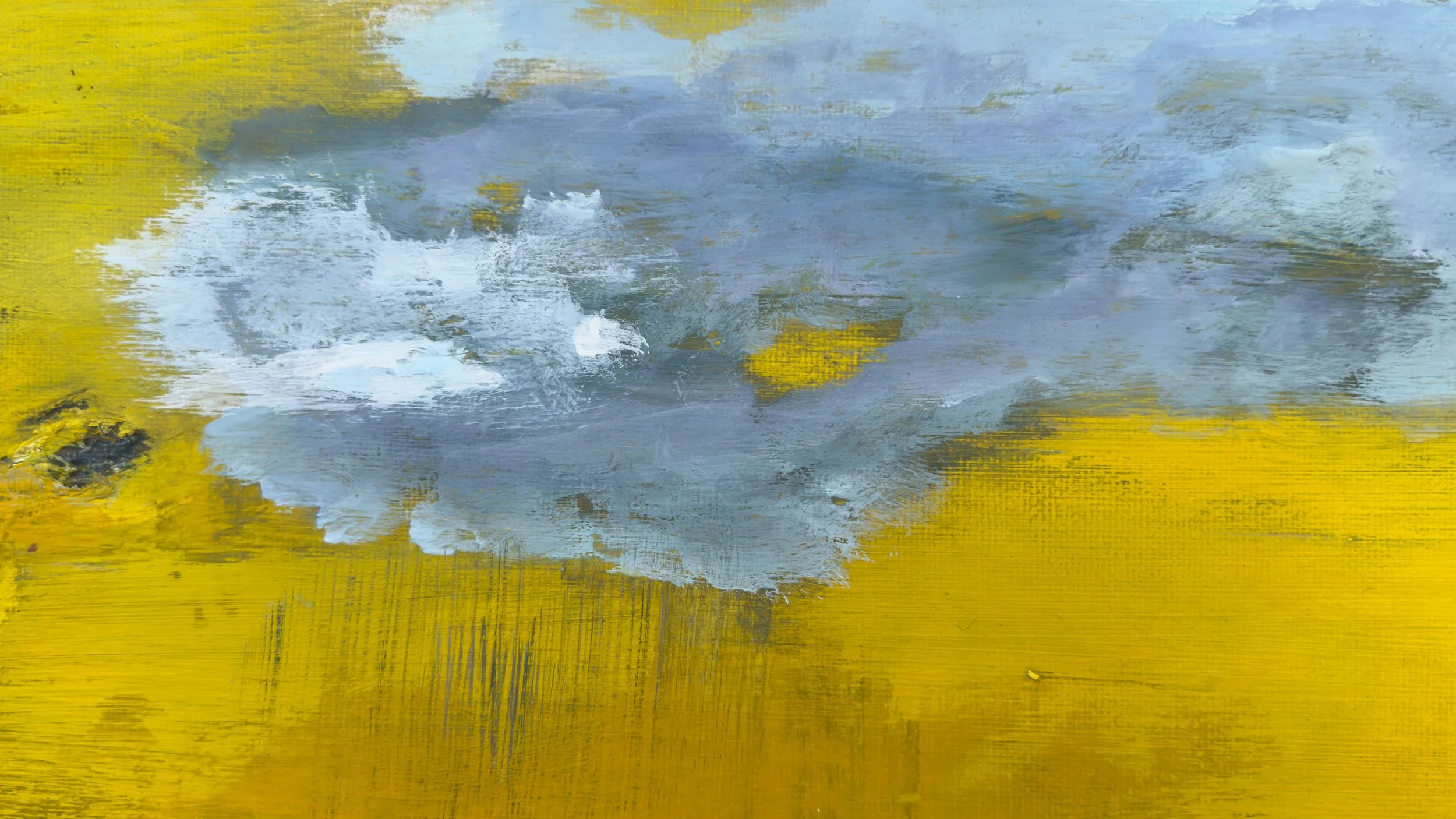 Z yellow yellow IMG_3351.jpeg