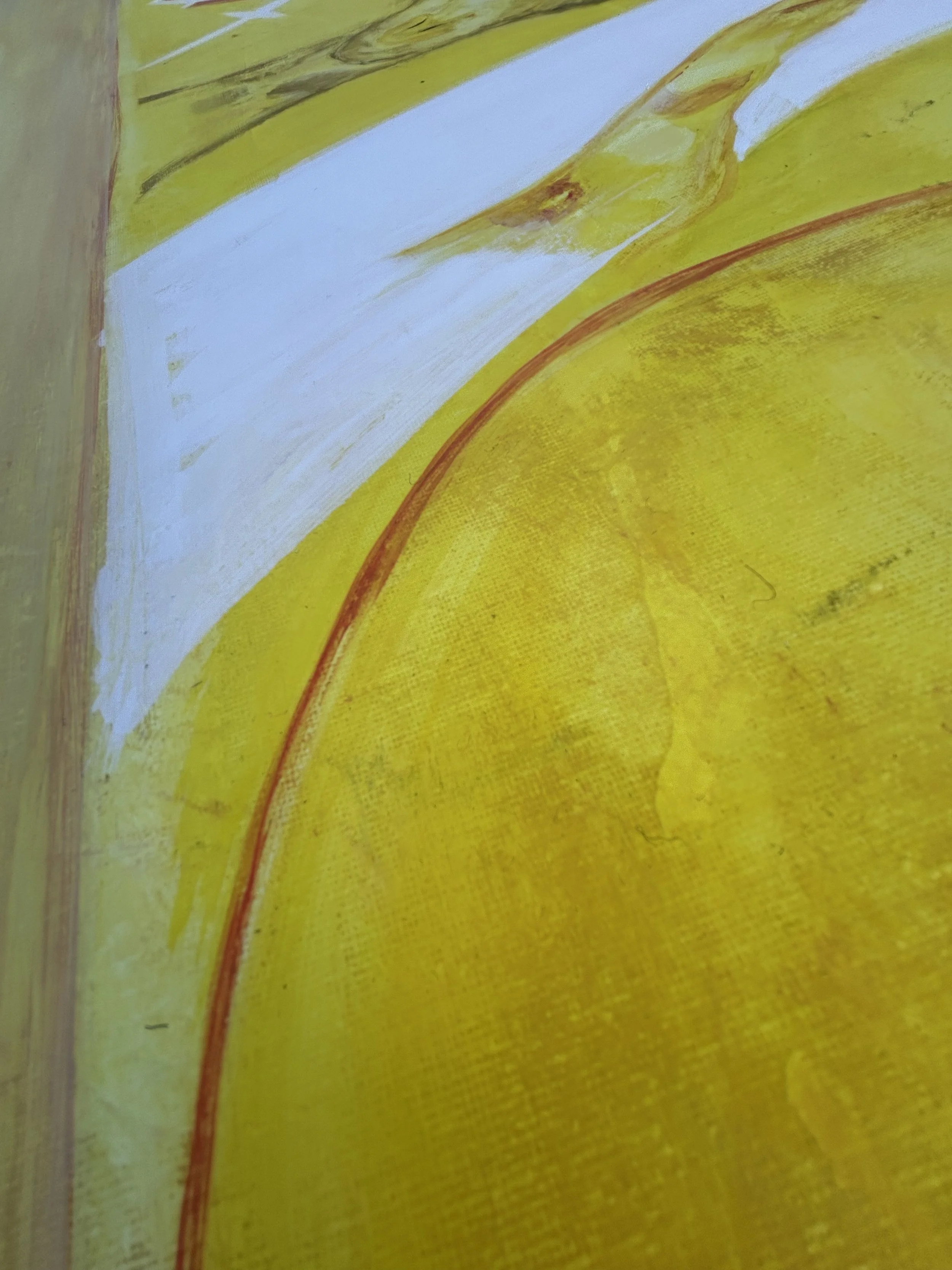 Z yellow amarillo  IMG_0577.jpeg