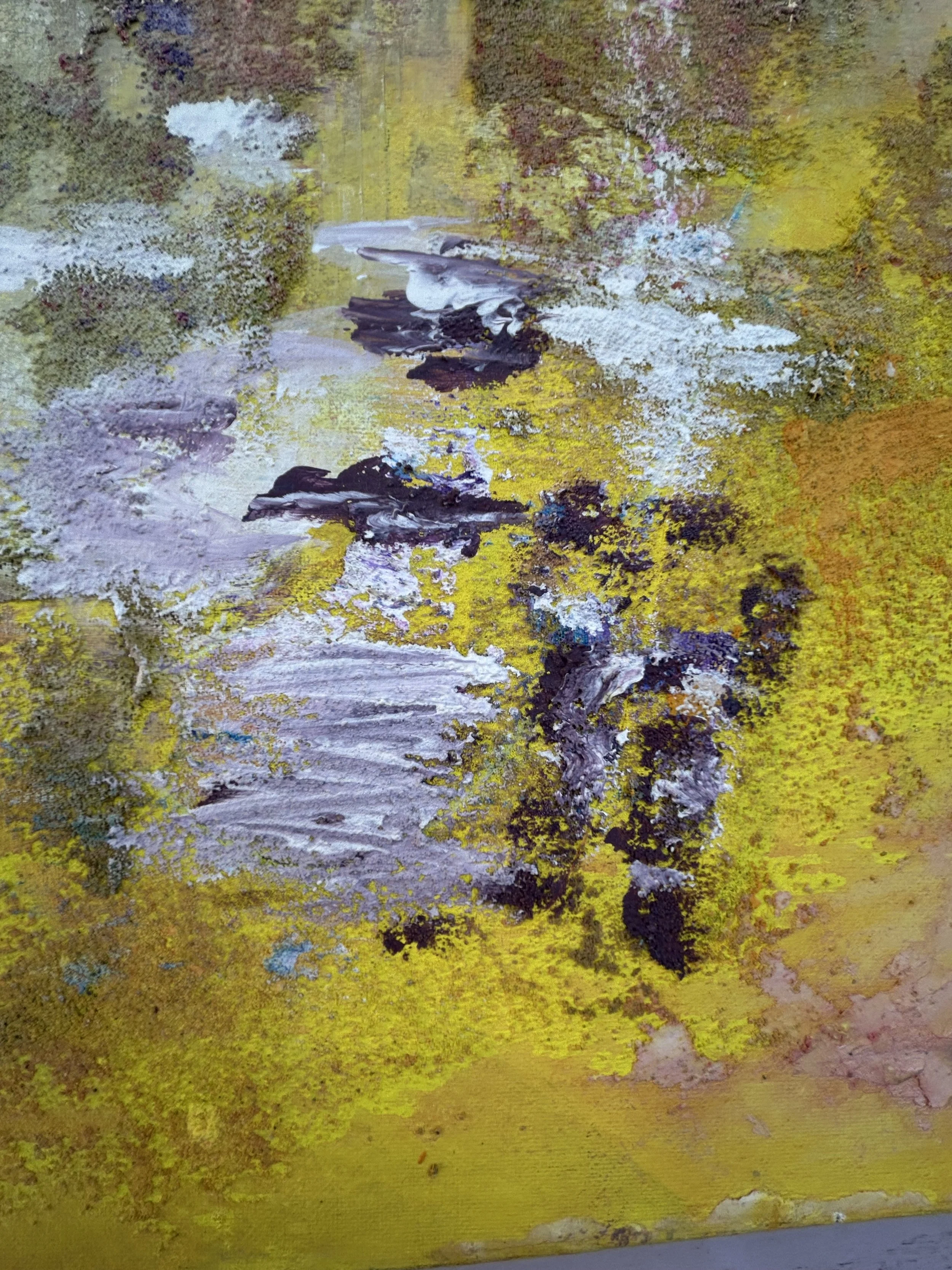 Z yellow jaune IMG_0578.jpeg