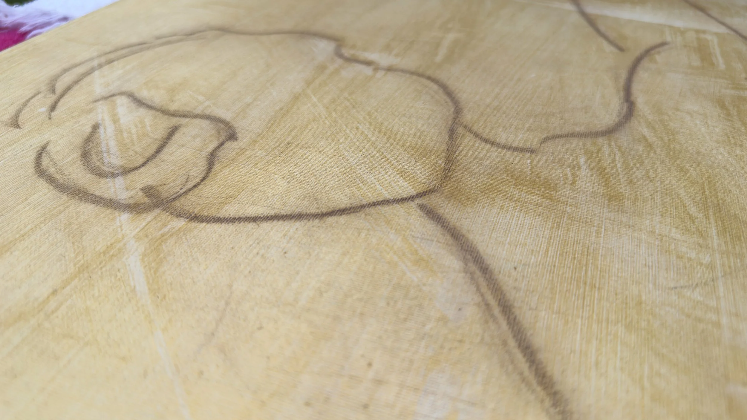 Z gold gold IMG_3435.jpeg