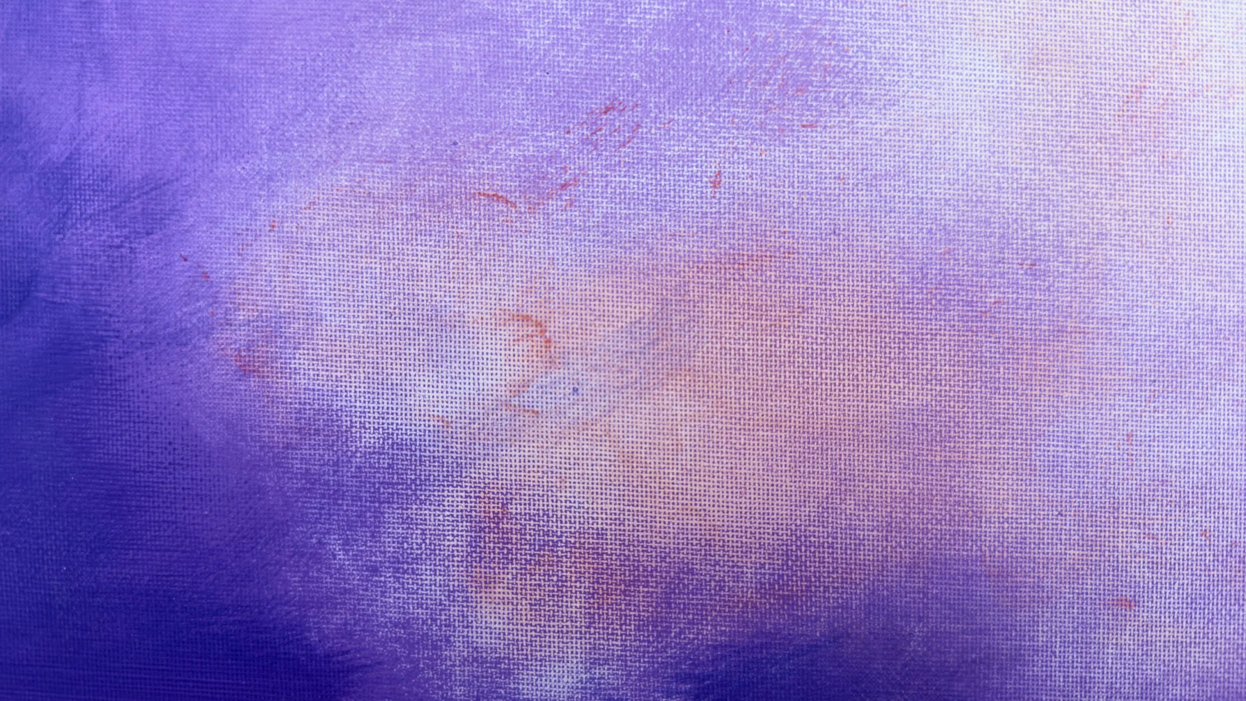 Z purple lila IMG_3377.jpeg