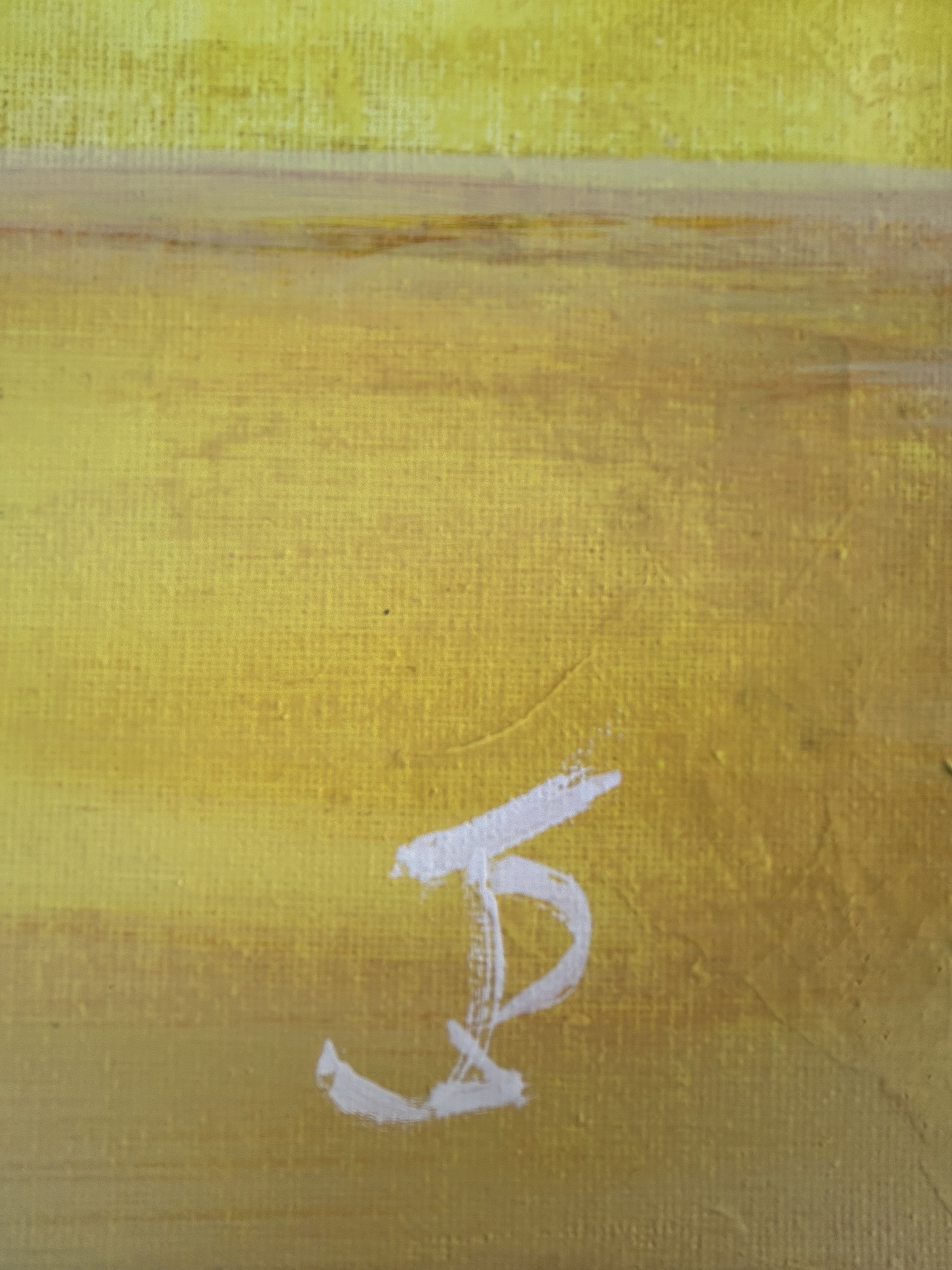 Z yellow jaune IMG_0576.jpeg