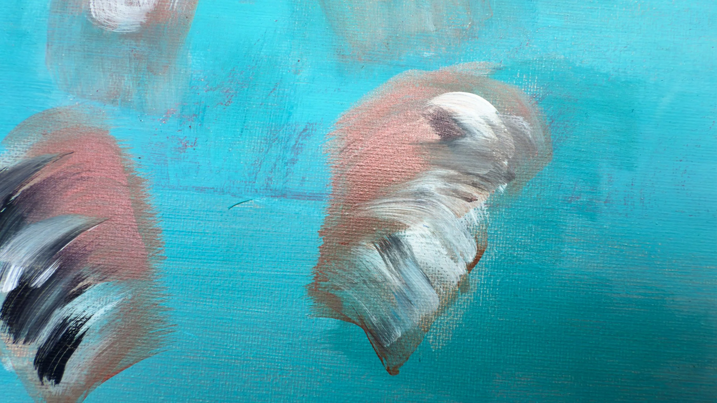 Z turquoise turquoise IMG_3420.jpeg