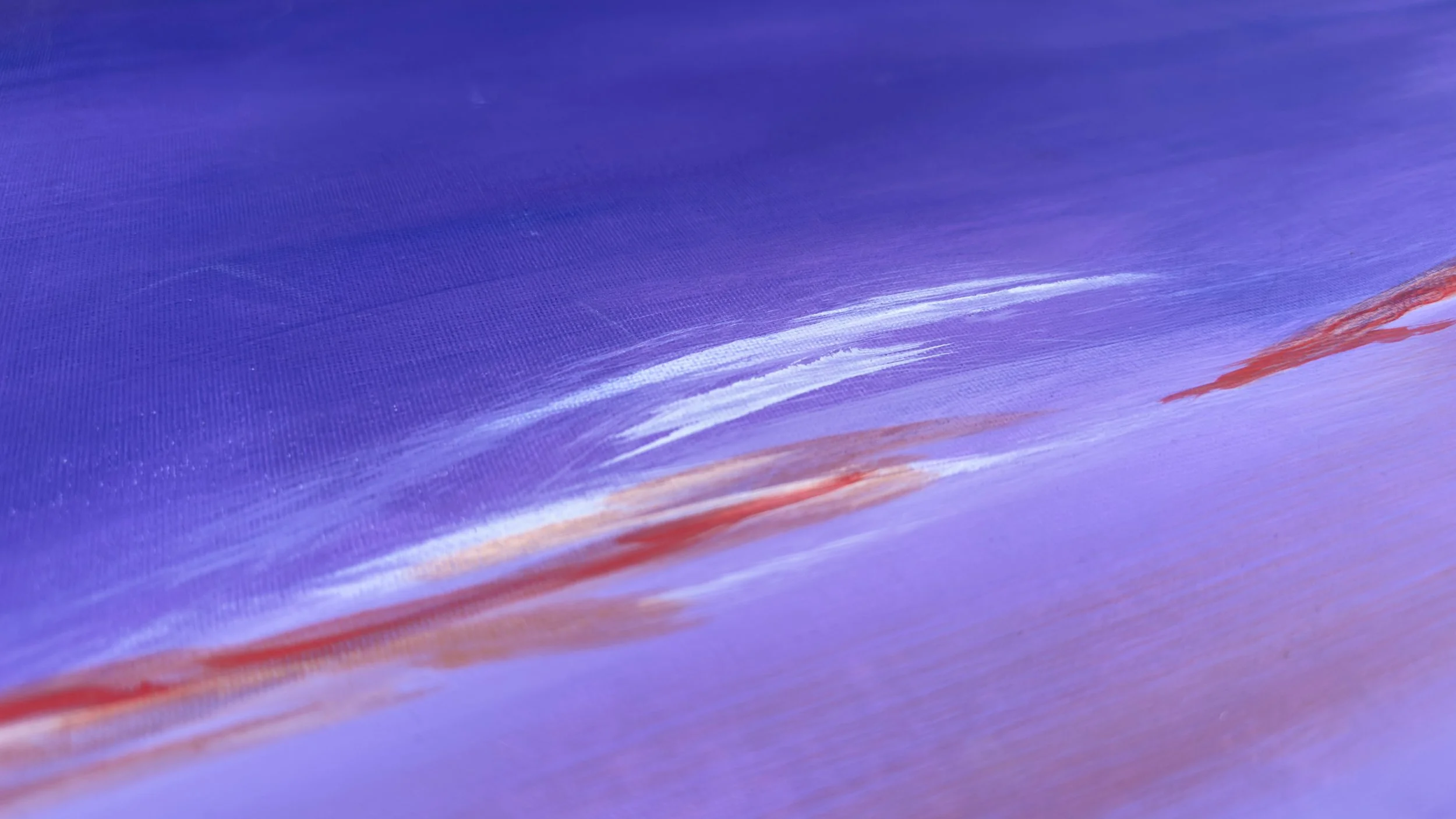 Z purple lila IMG_3374.jpeg