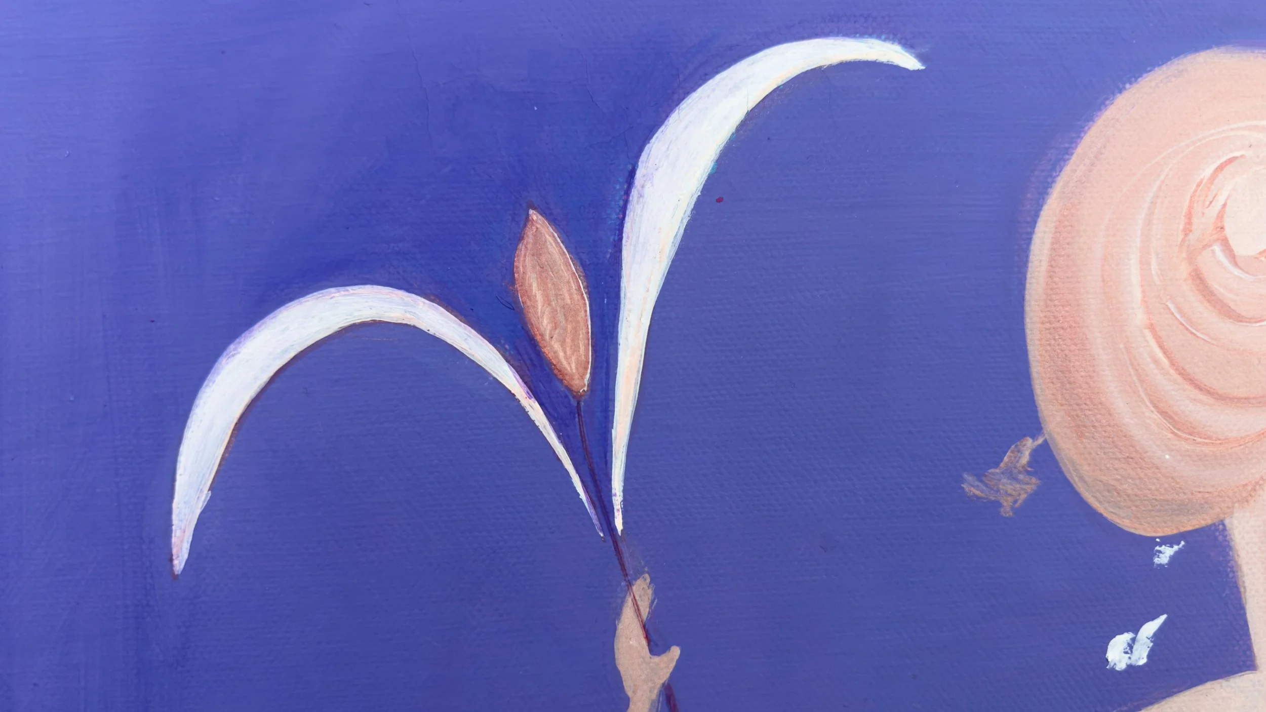 Z purple purple IMG_3394.jpeg