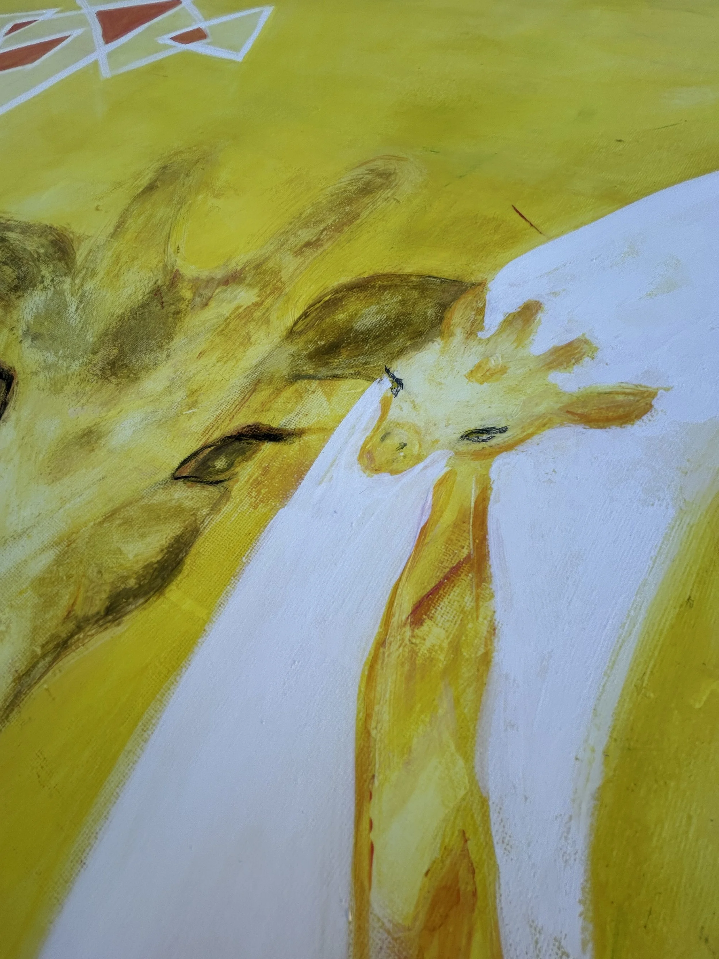 Z yellow amarillo IMG_0574.jpeg