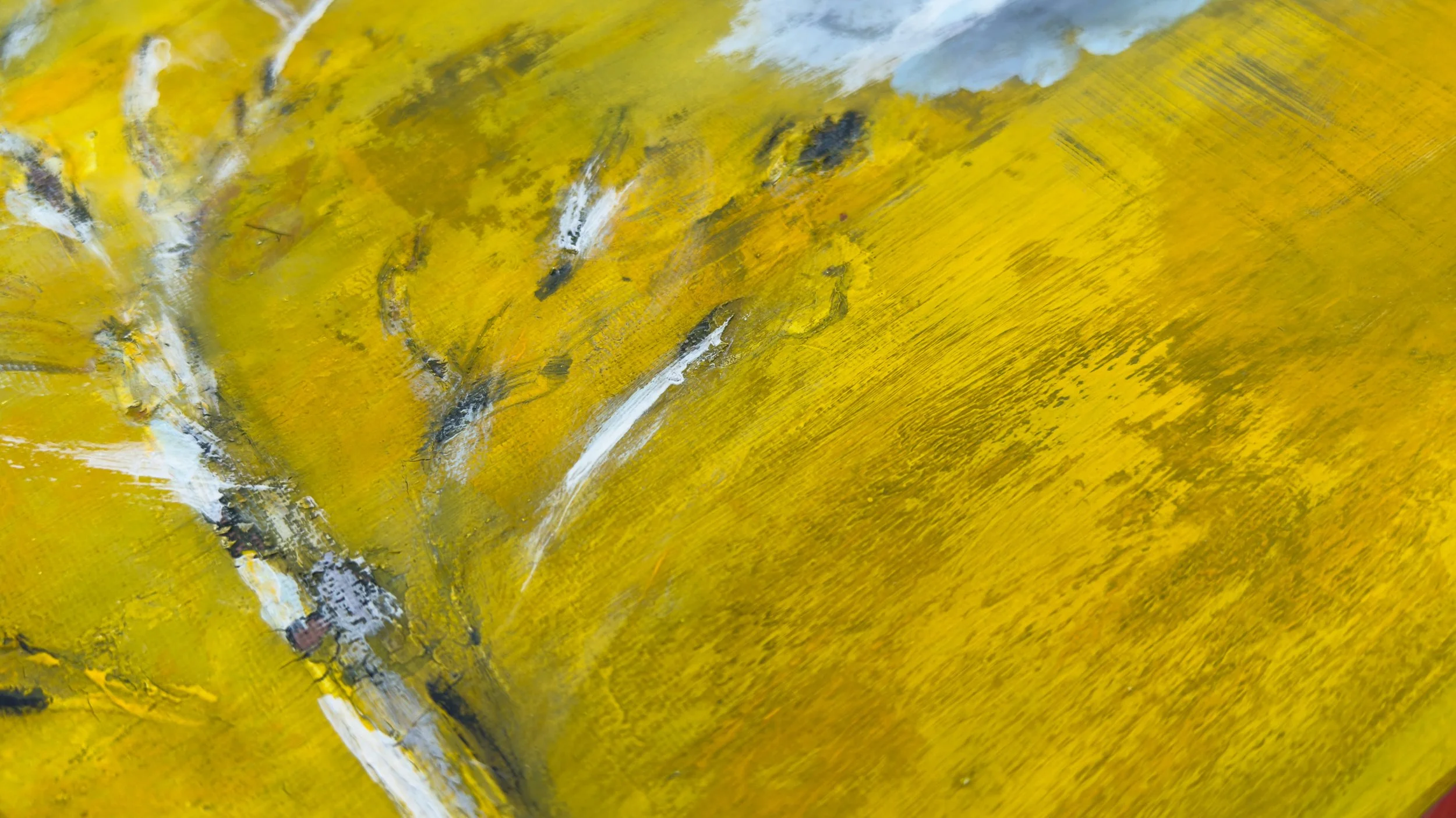 Z yellow yellow IMG_3350.jpeg