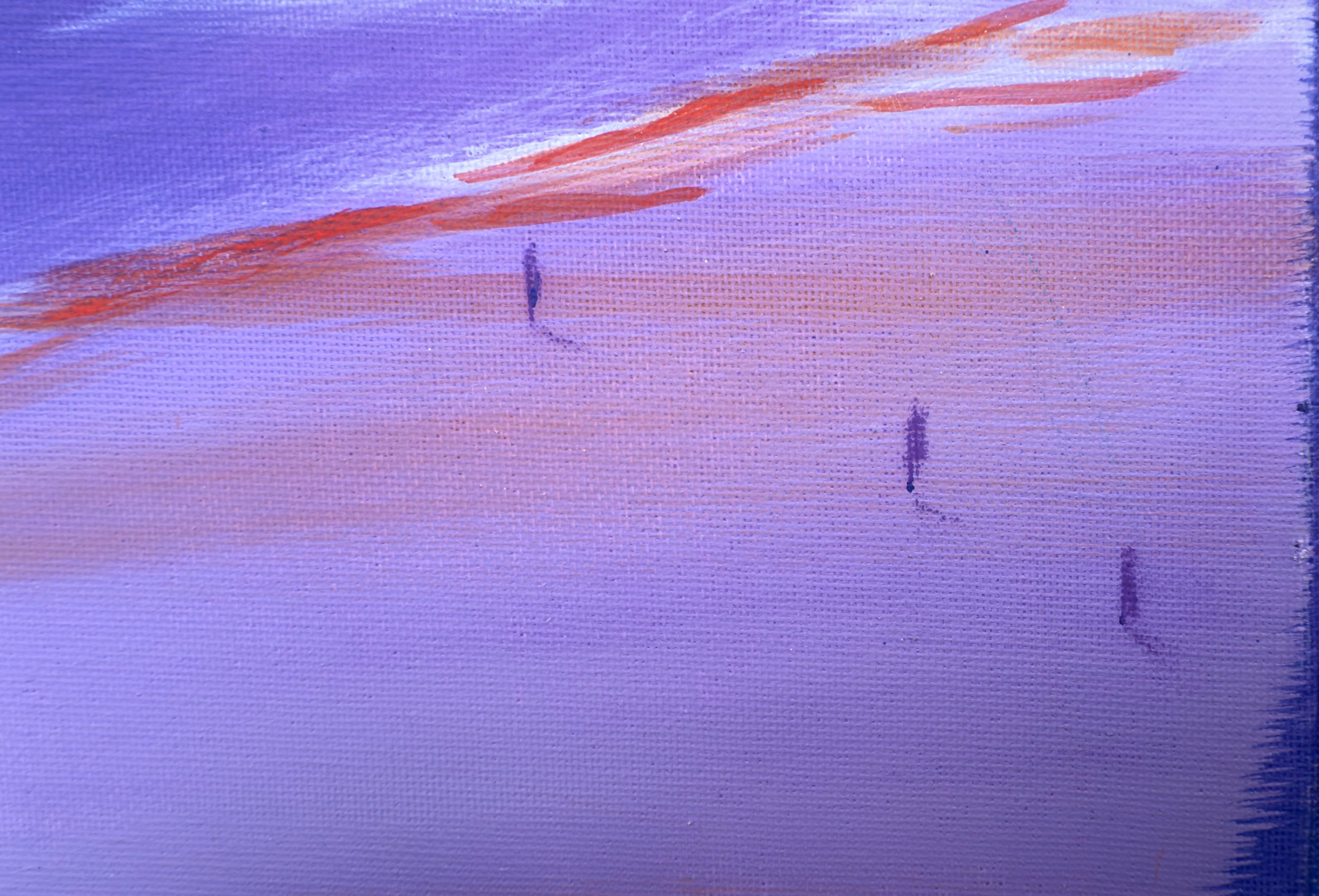 Z purple lila IMG_3372.jpeg