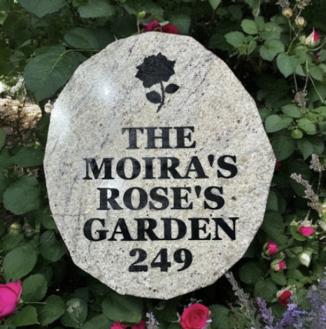 A garden marker stone with a black rose graphic and the inscription 'The Moira's Rose's Garden 249', surrounded by green leaves and pink flowers.