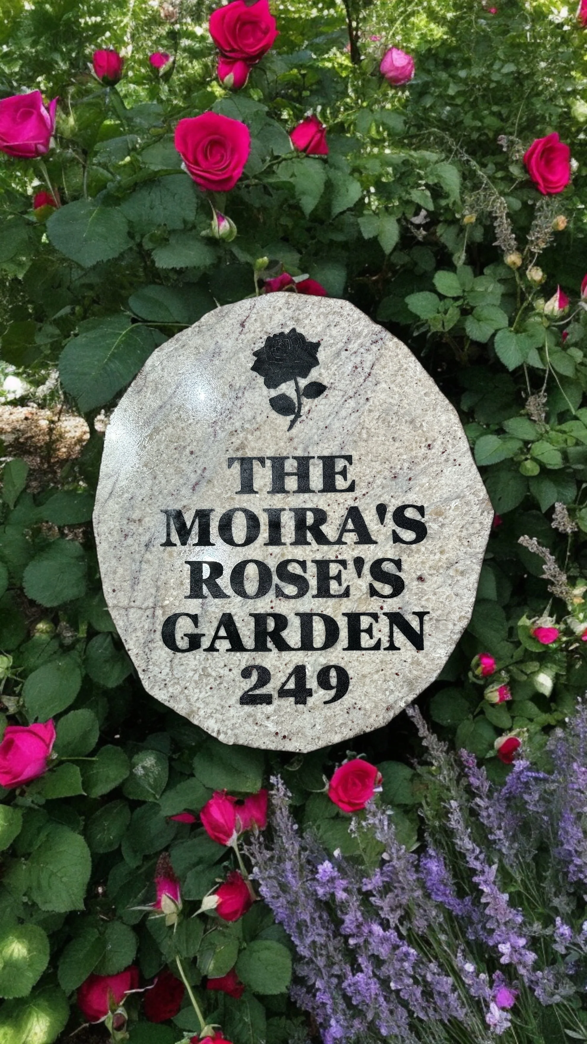 A garden with pink roses, green leaves, and purple flowers, with a stone marker that reads 'The Moira's Rose's Garden 249' and a black rose symbol at the top.