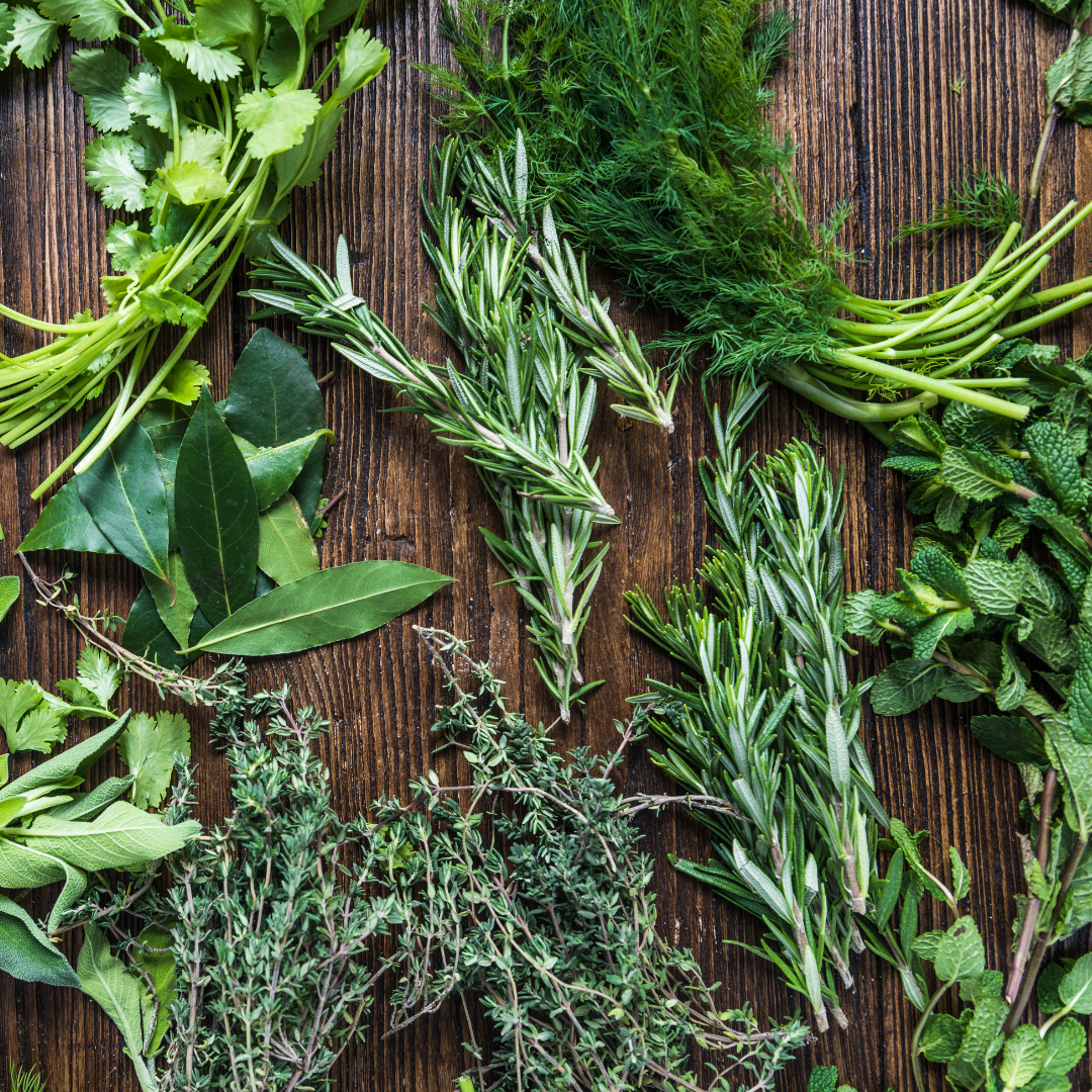 Tuesday- Choose 1 meal, 2 servings