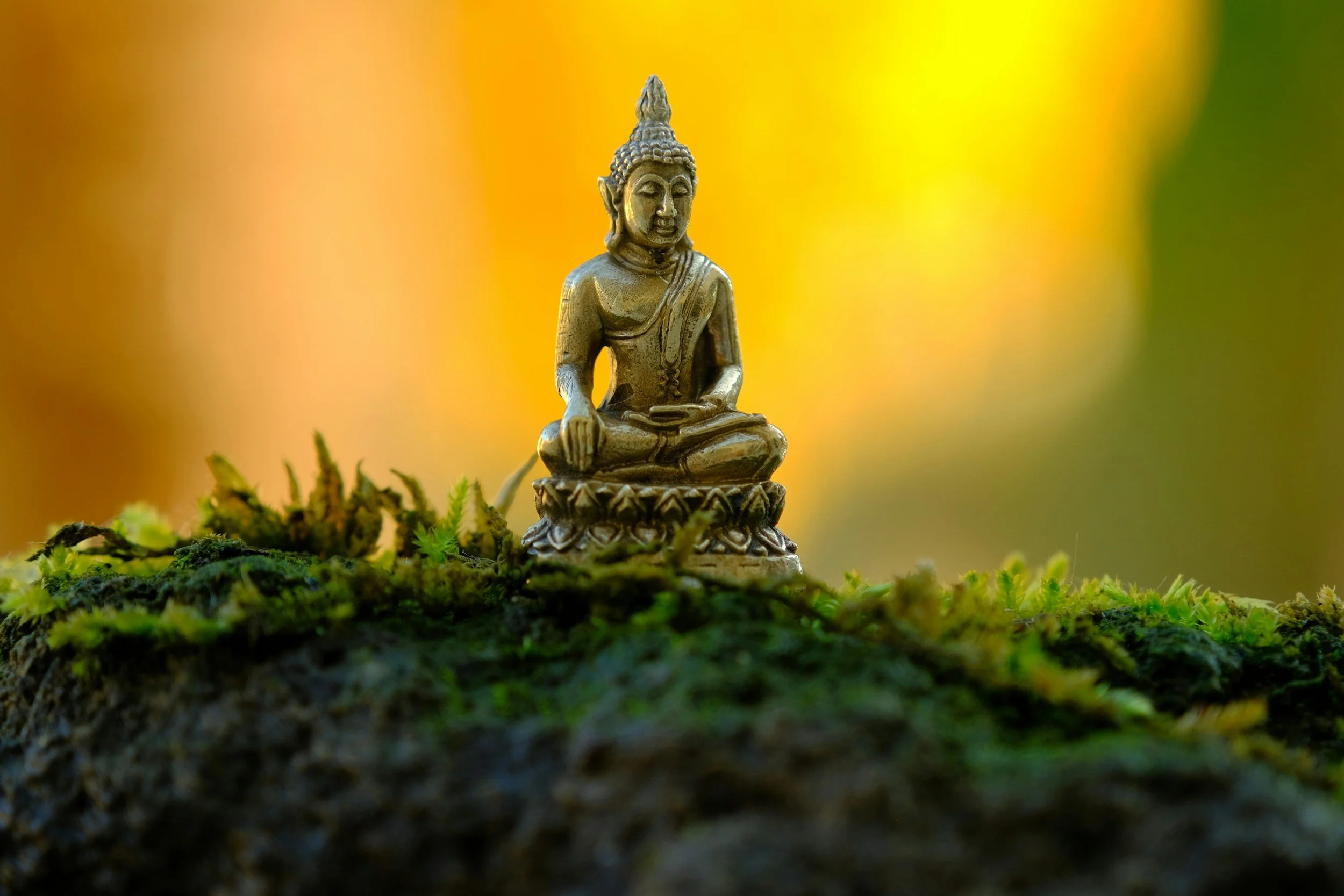 A small golden Buddha statue in a seated meditation pose on a moss-covered surface with a blurred warm-colored background.