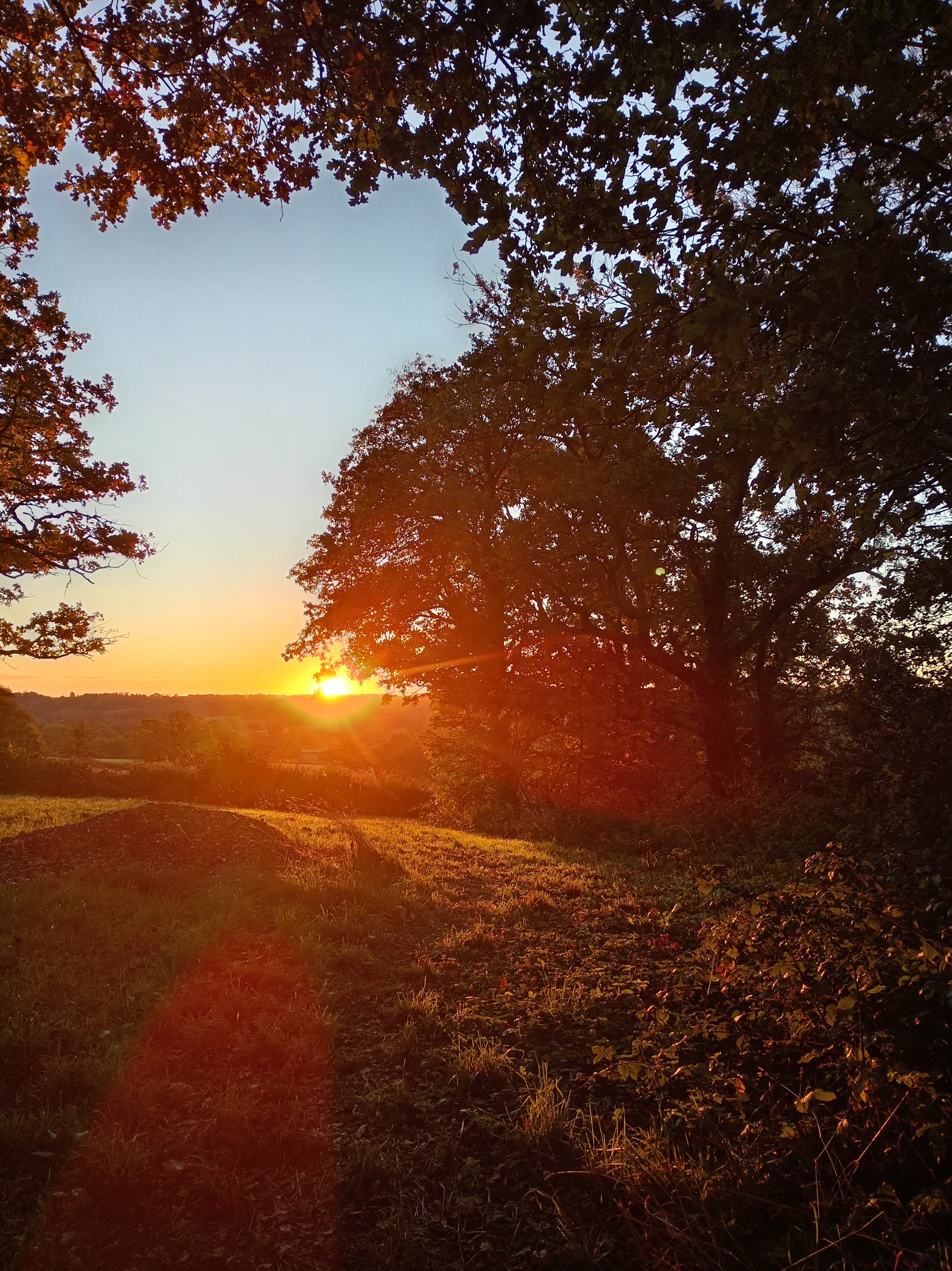 Sunset over a hilly landscape with trees and a dirt path, with warm sunlight and a clear sky.