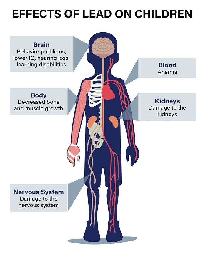 Illustration showing the effects of lead poisoning on children, including damage to the brain, blood, body, nervous system, and kidneys.