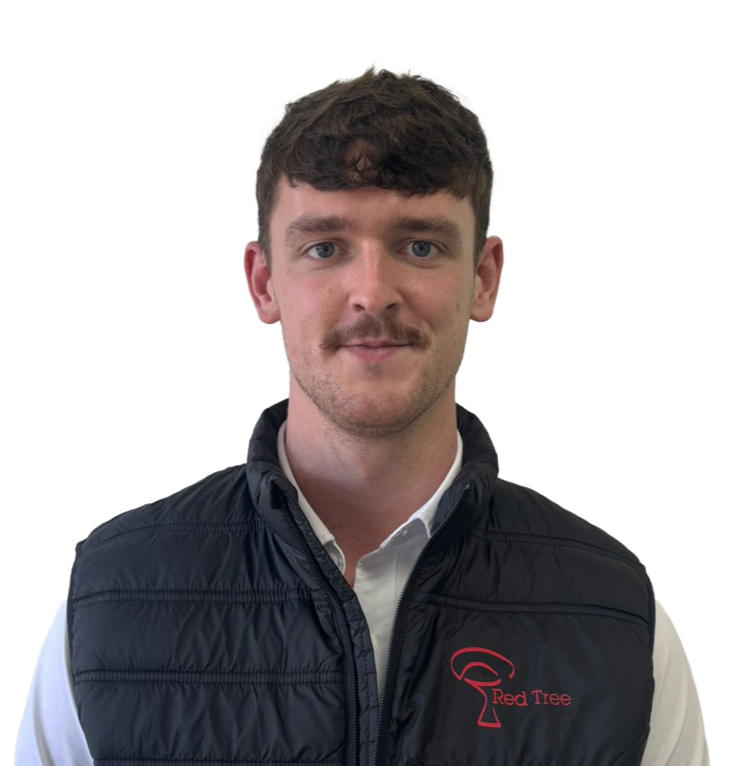 NB.png