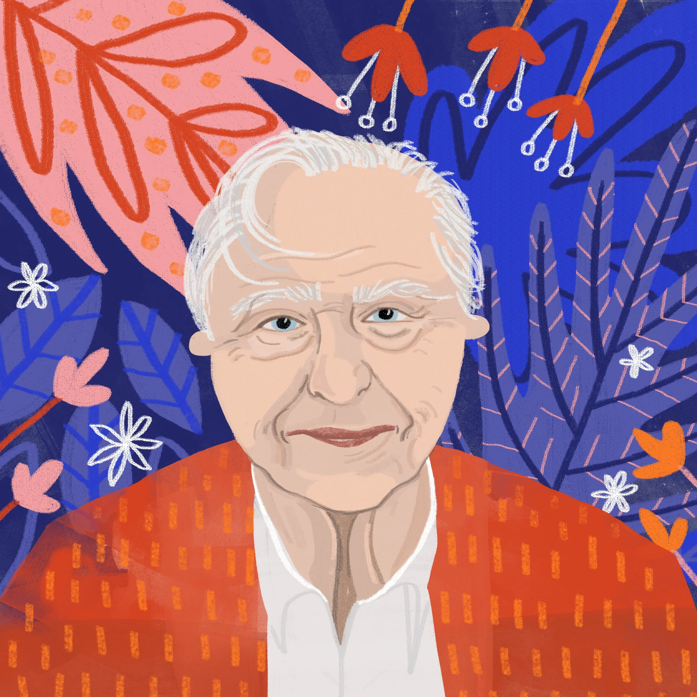 Illustrated portrait of Sir David Attenborough 