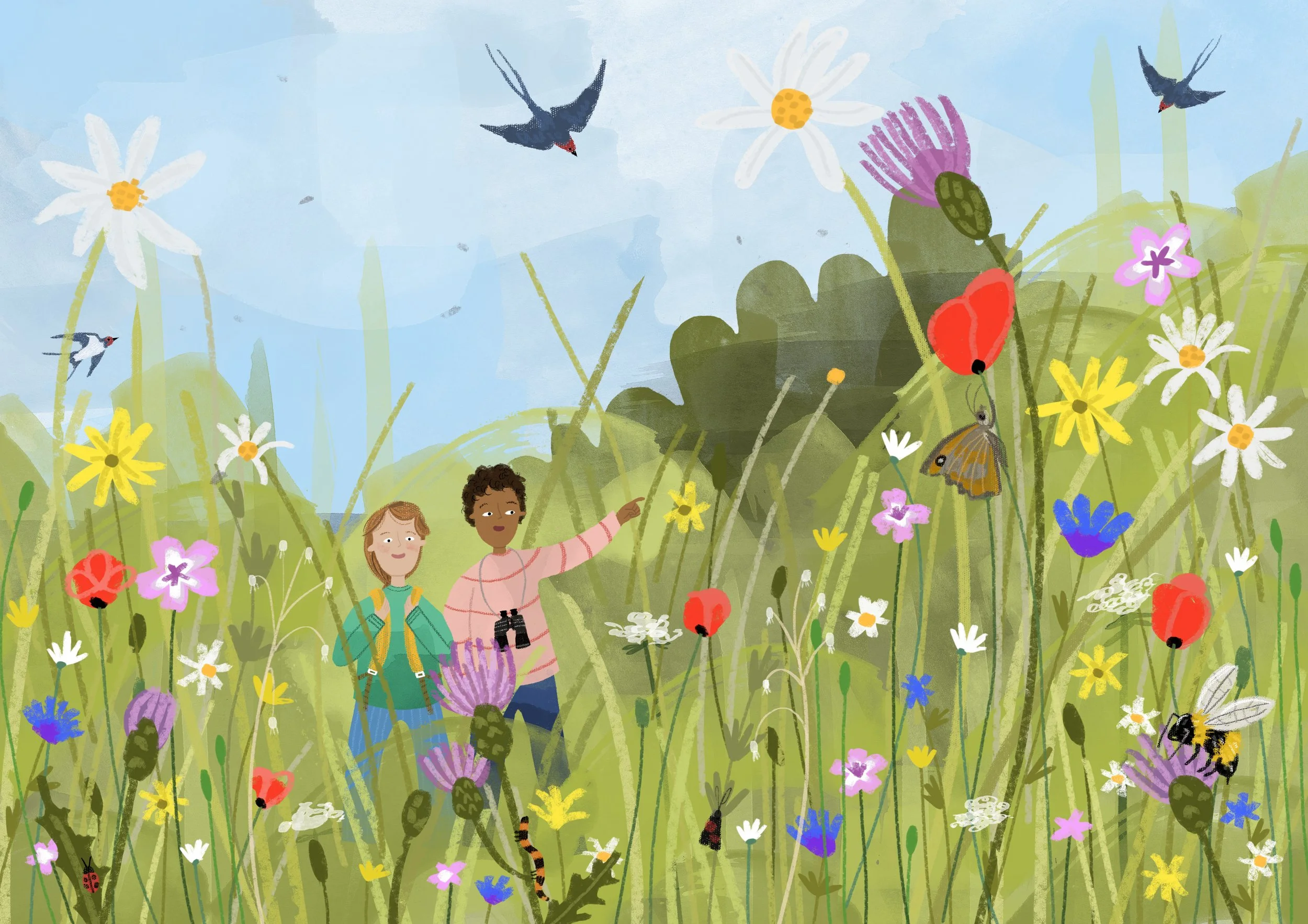 Non fiction illustration of a meadow in summertime