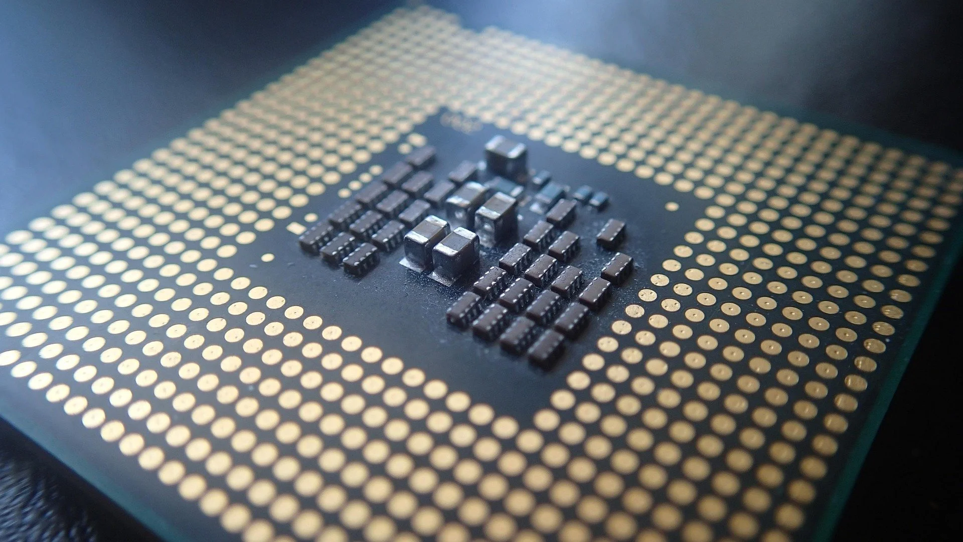 A computer microprocessor with a black surface and gold contact points.
