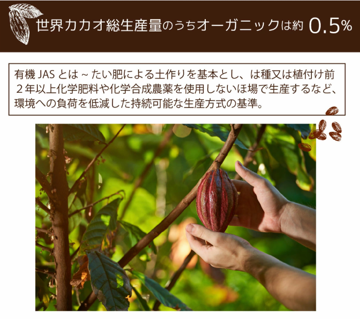 Screenshot 2025-10-02 235221.png