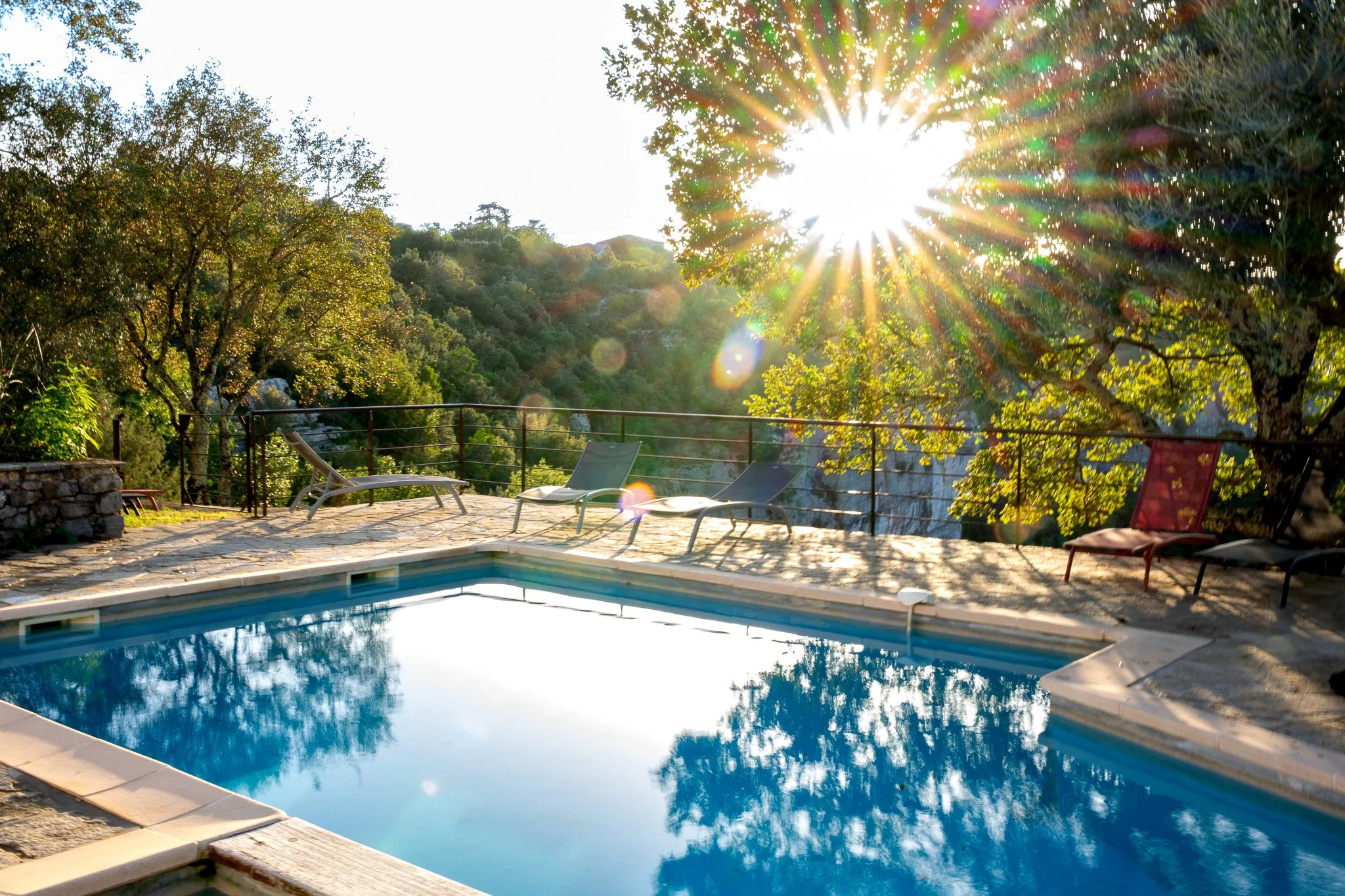 Piscine extérieure avec des chaises longues sous un soleil brillant, entourée d'arbres verts et d'une vue sur la forêt en arrière-plan.
