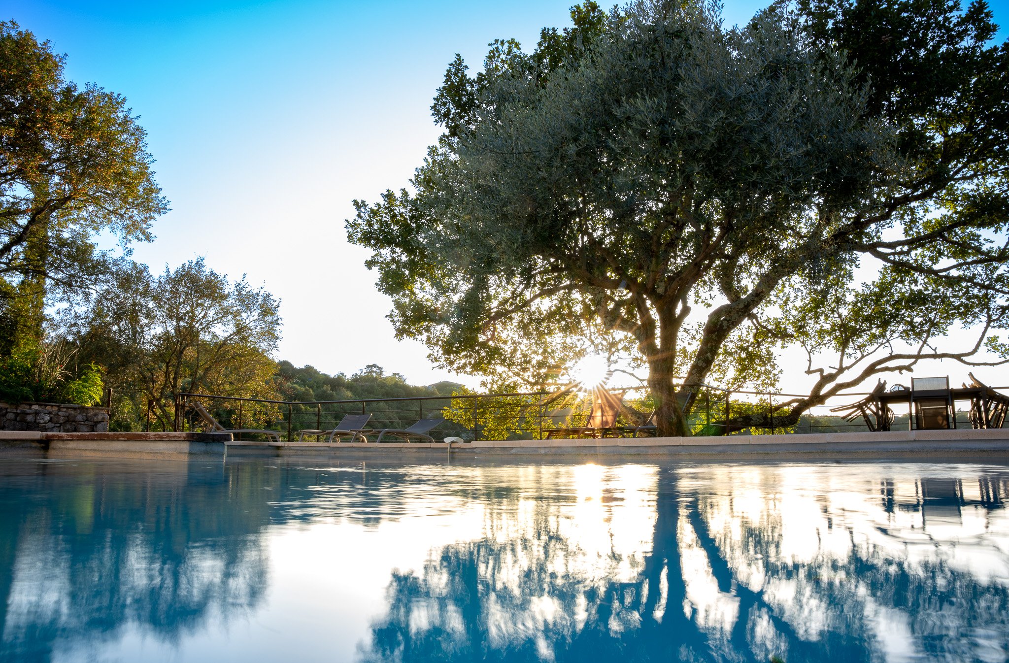 Piscine extérieure avec des chaises longues, un grand arbre et un soleil couchant en arrière-plan.