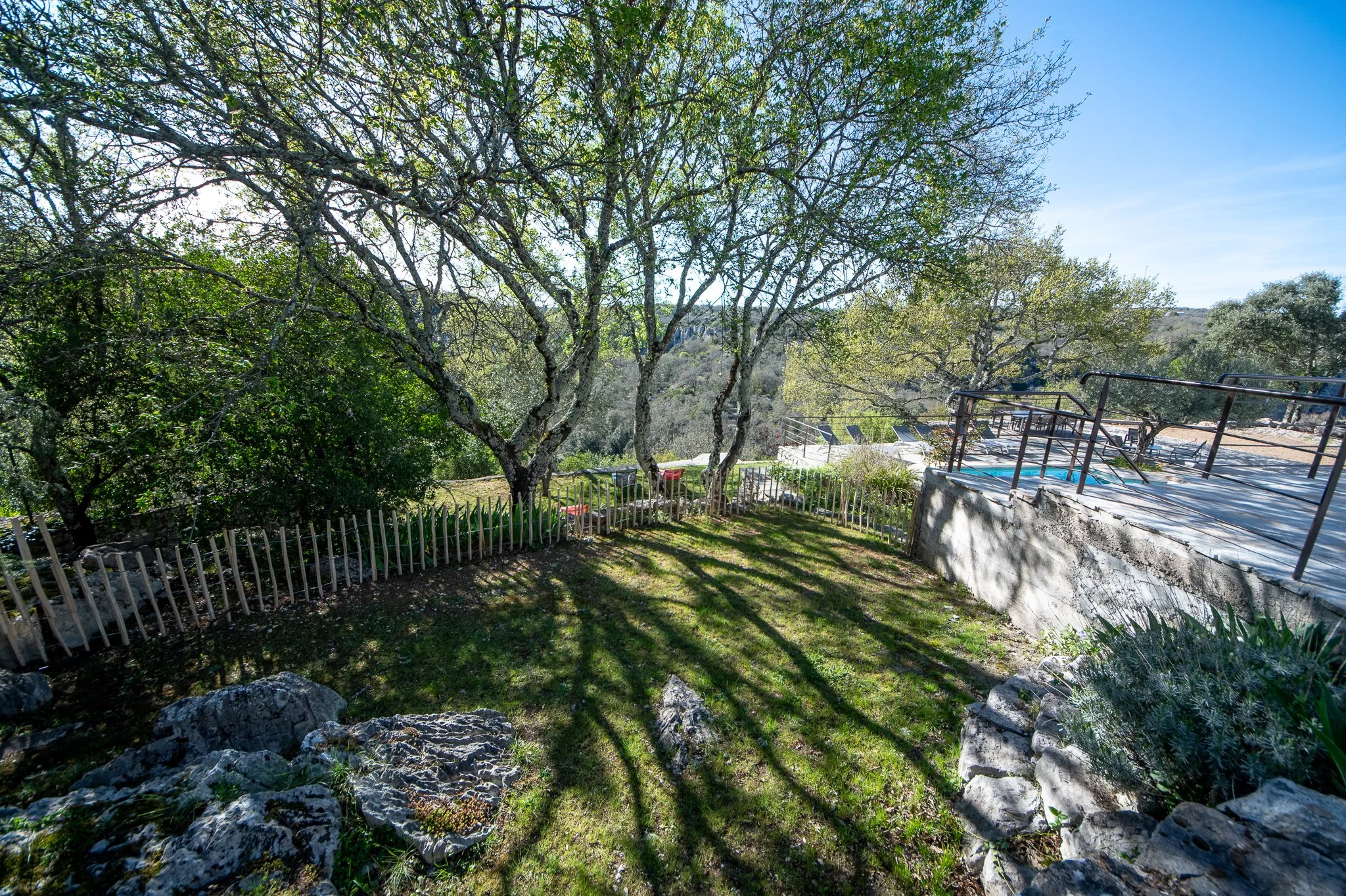 Un jardin en plein air avec des arbres, un espace herbeux, une barrière en bois, une piscine surélevée et des chaises longues sous un ciel clair.