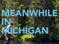 Pure Michigan "Line1"