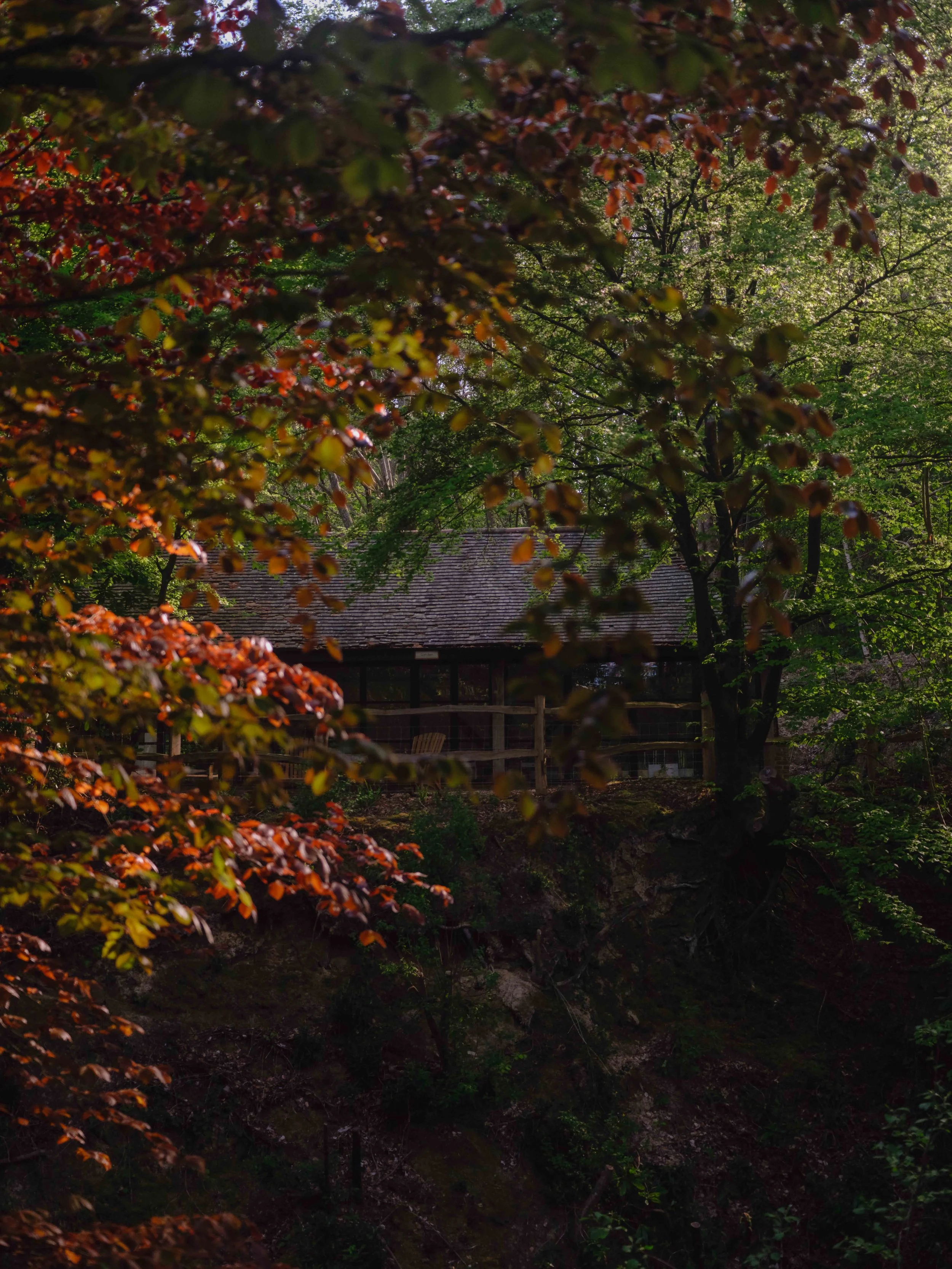 DSCF0691.jpg