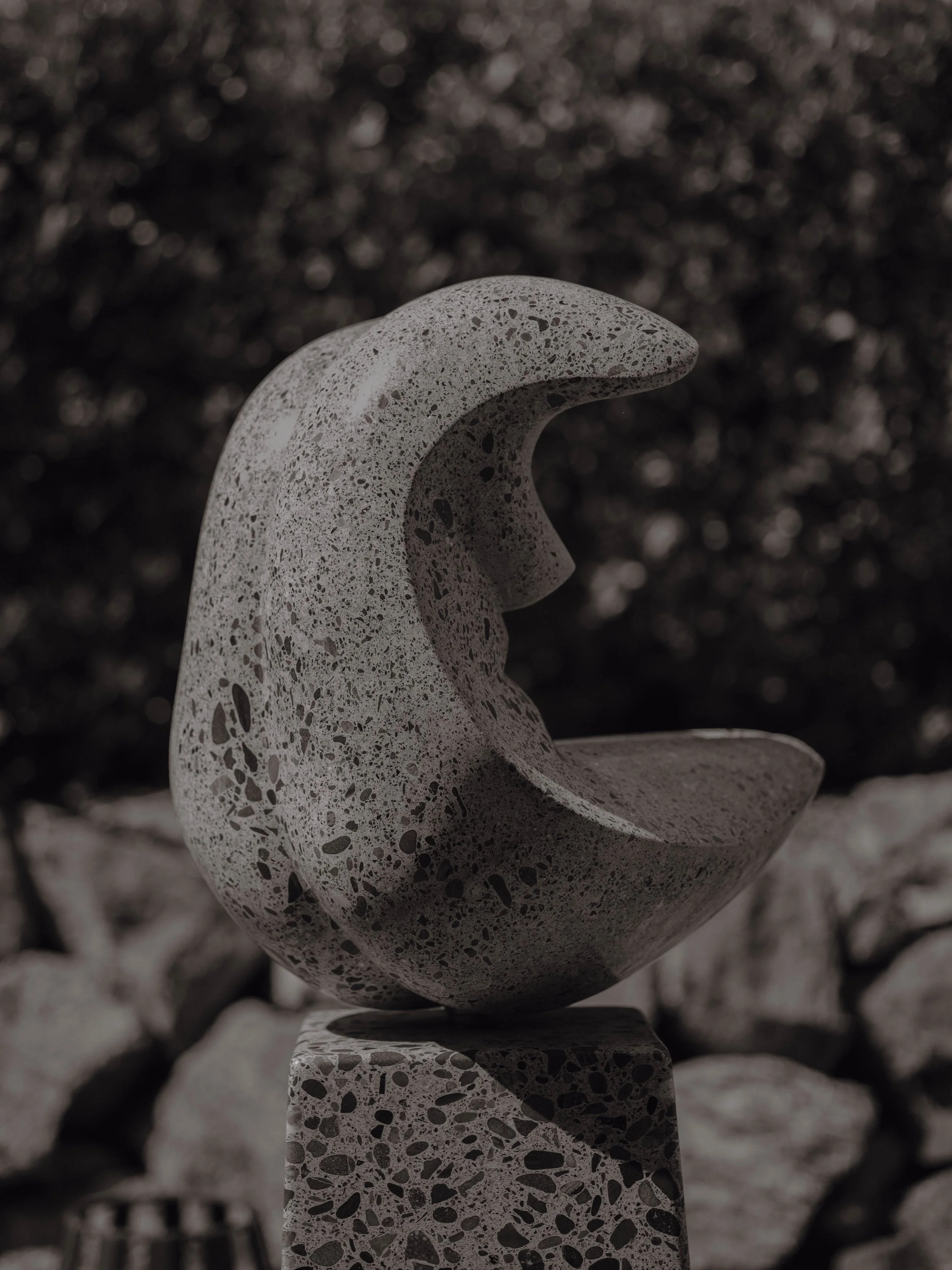 DSCF2616.jpg