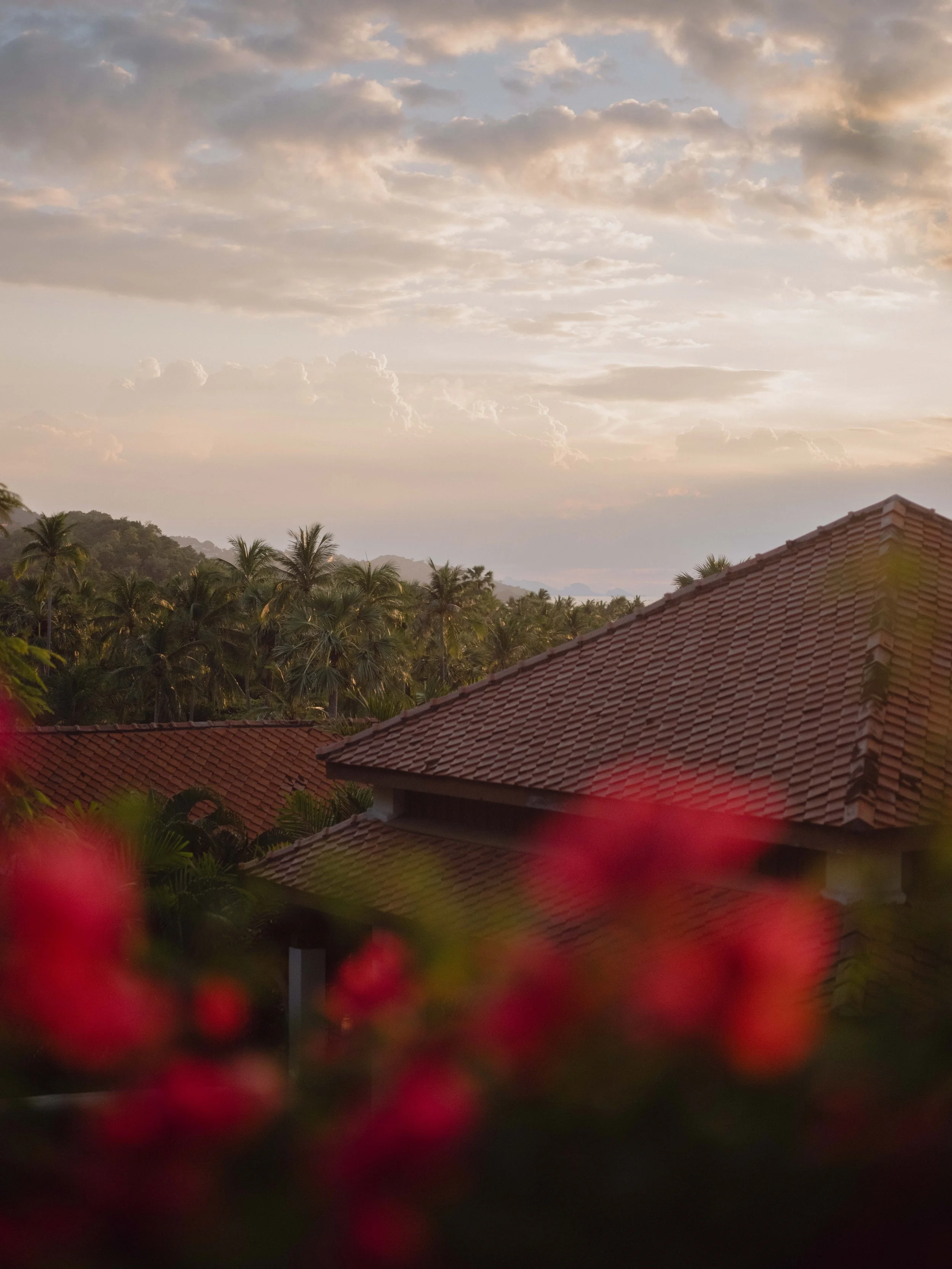 Napasai, Koh Samui