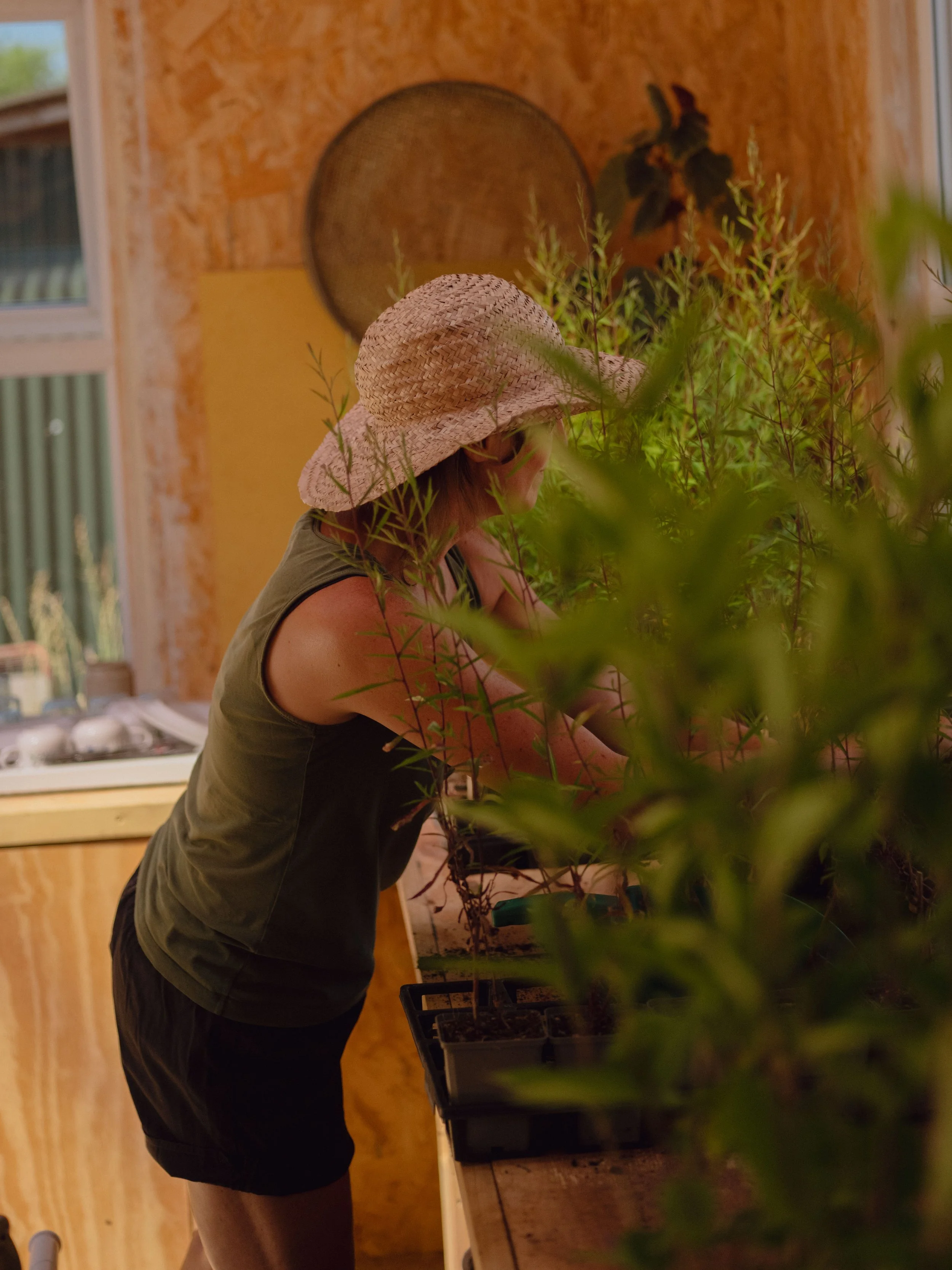 The Greenhouse