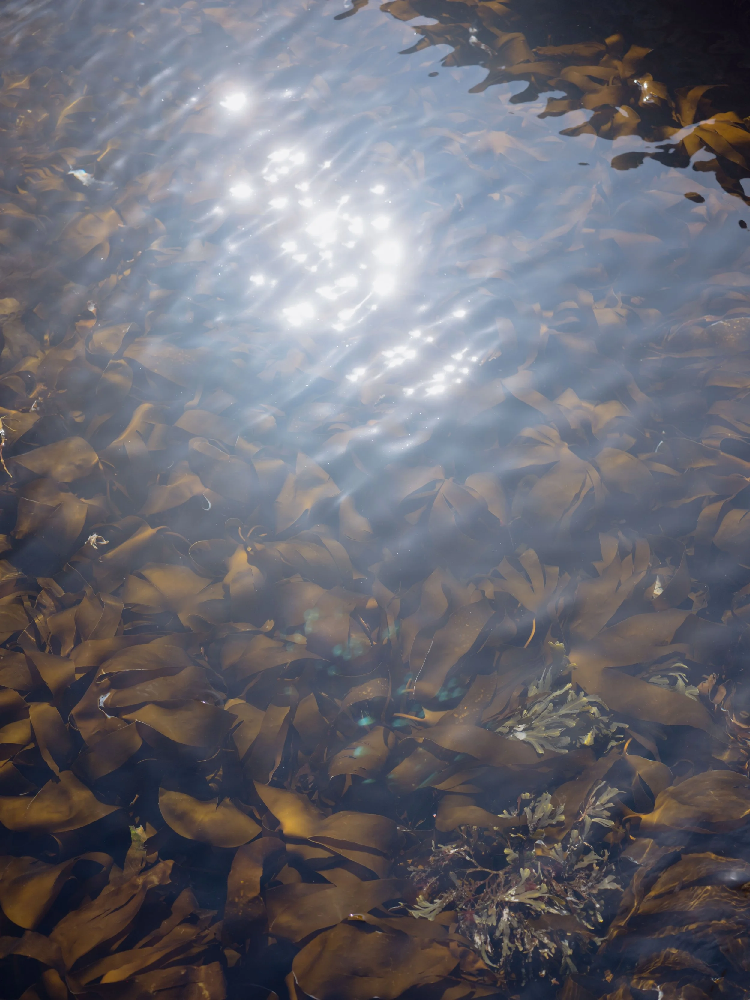 DSCF0131.jpg