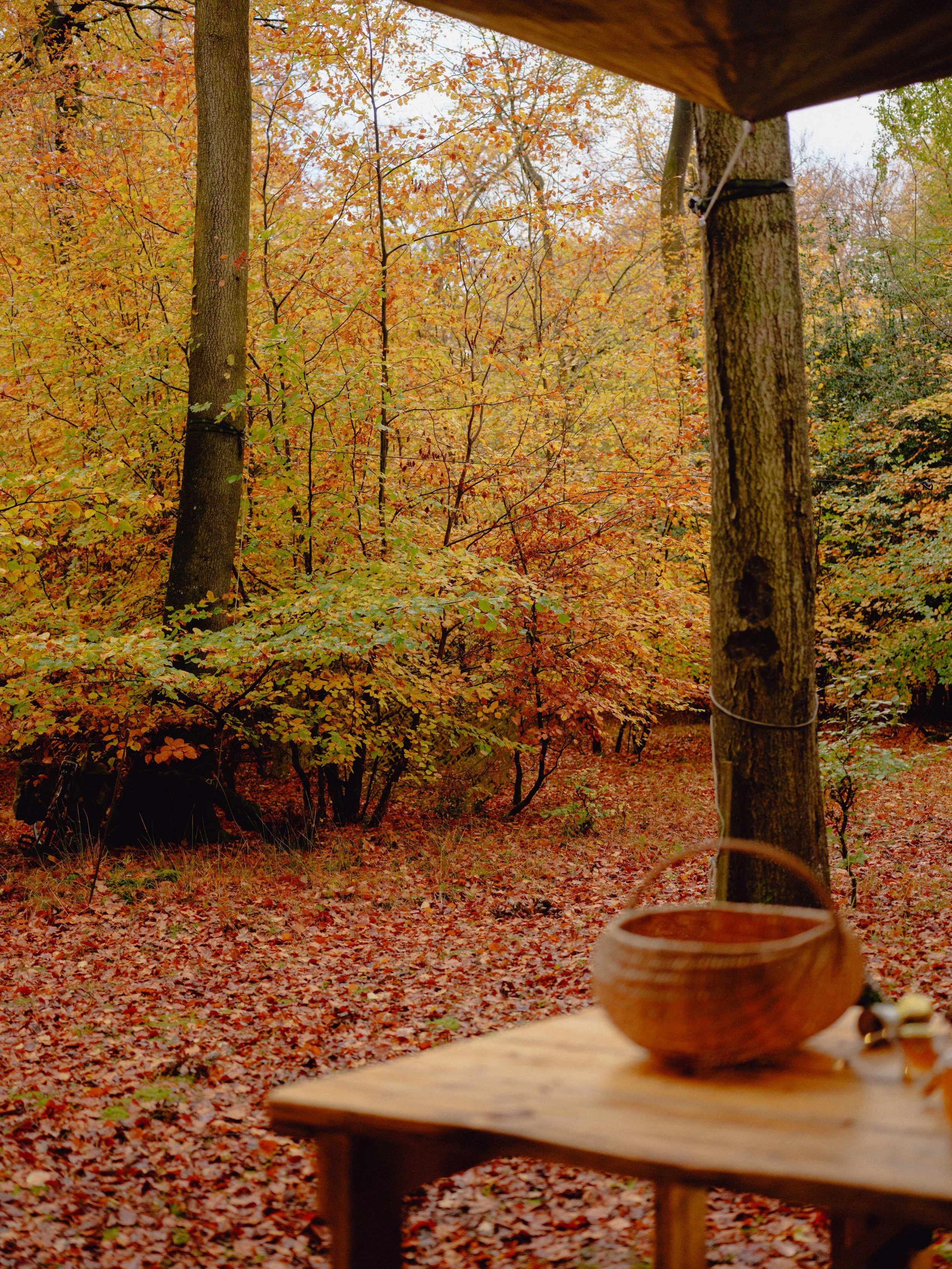 DSCF4658.jpg