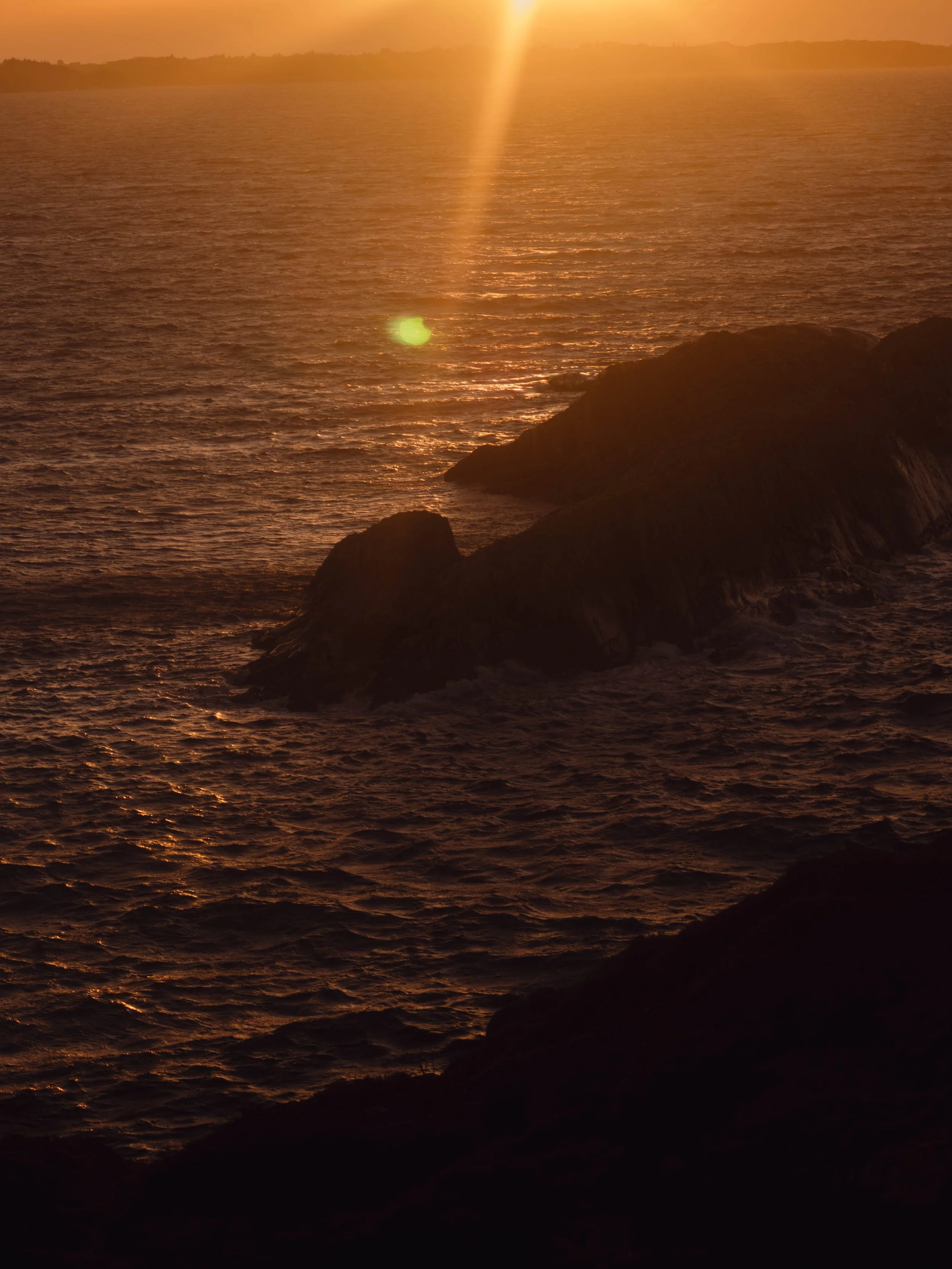 DSCF9467.jpg